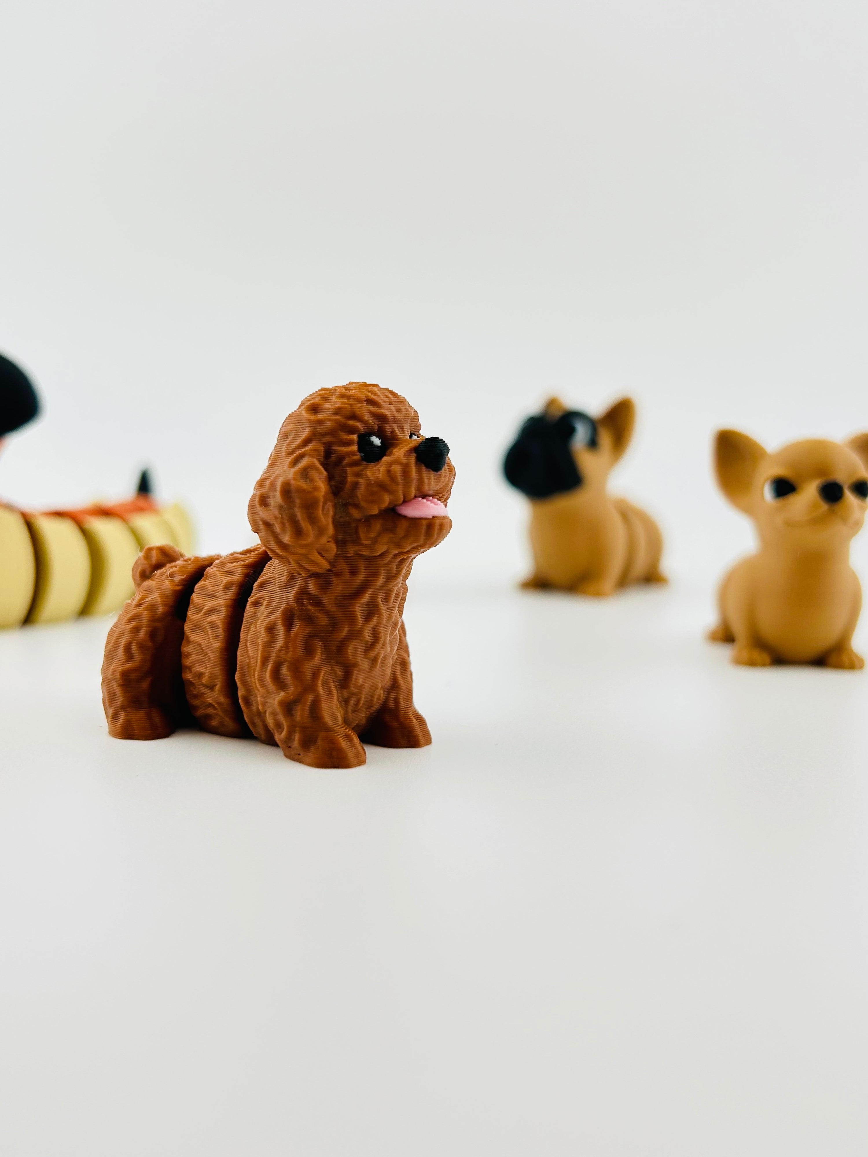 Poodle