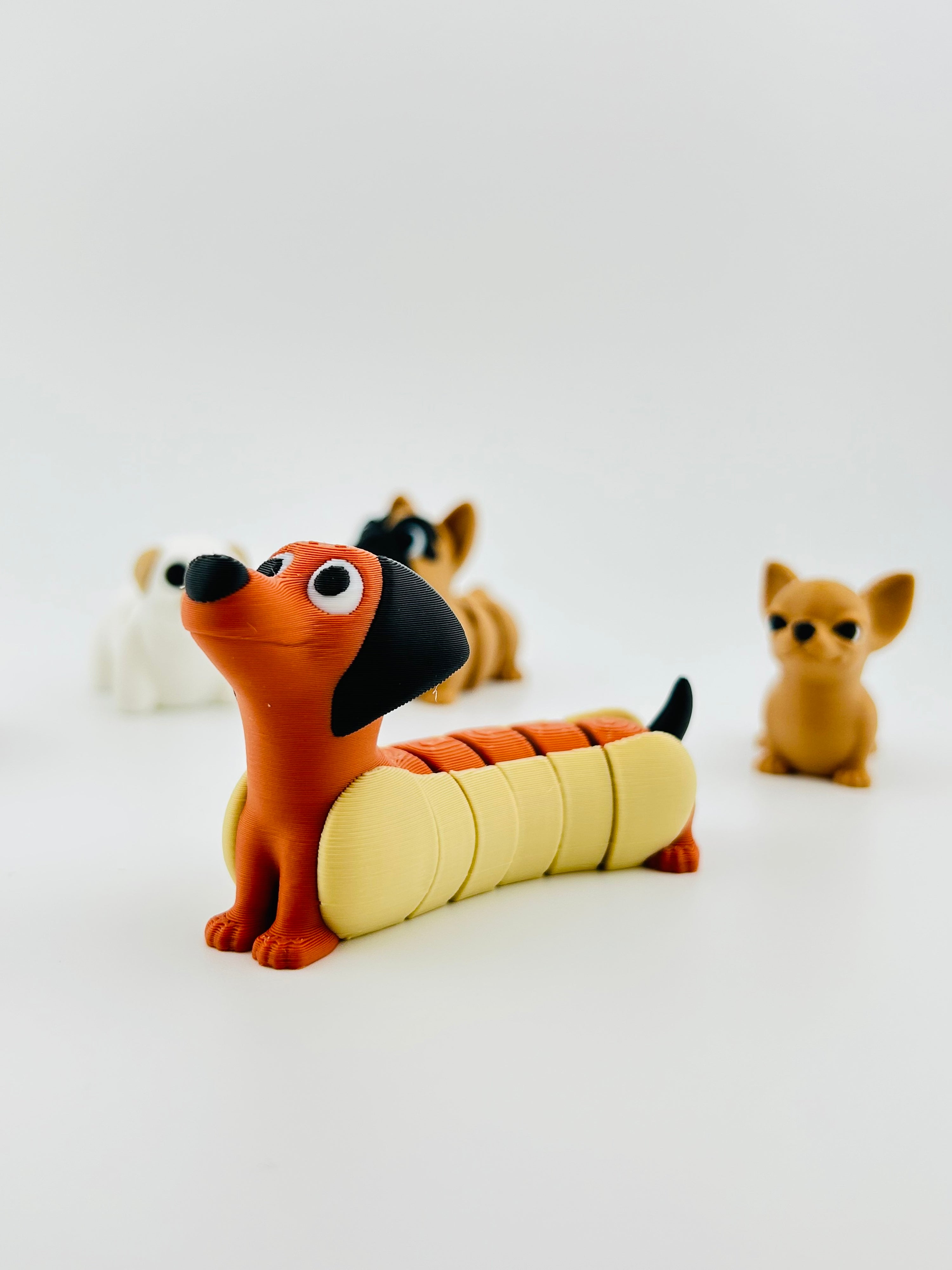 Hotdog Dog