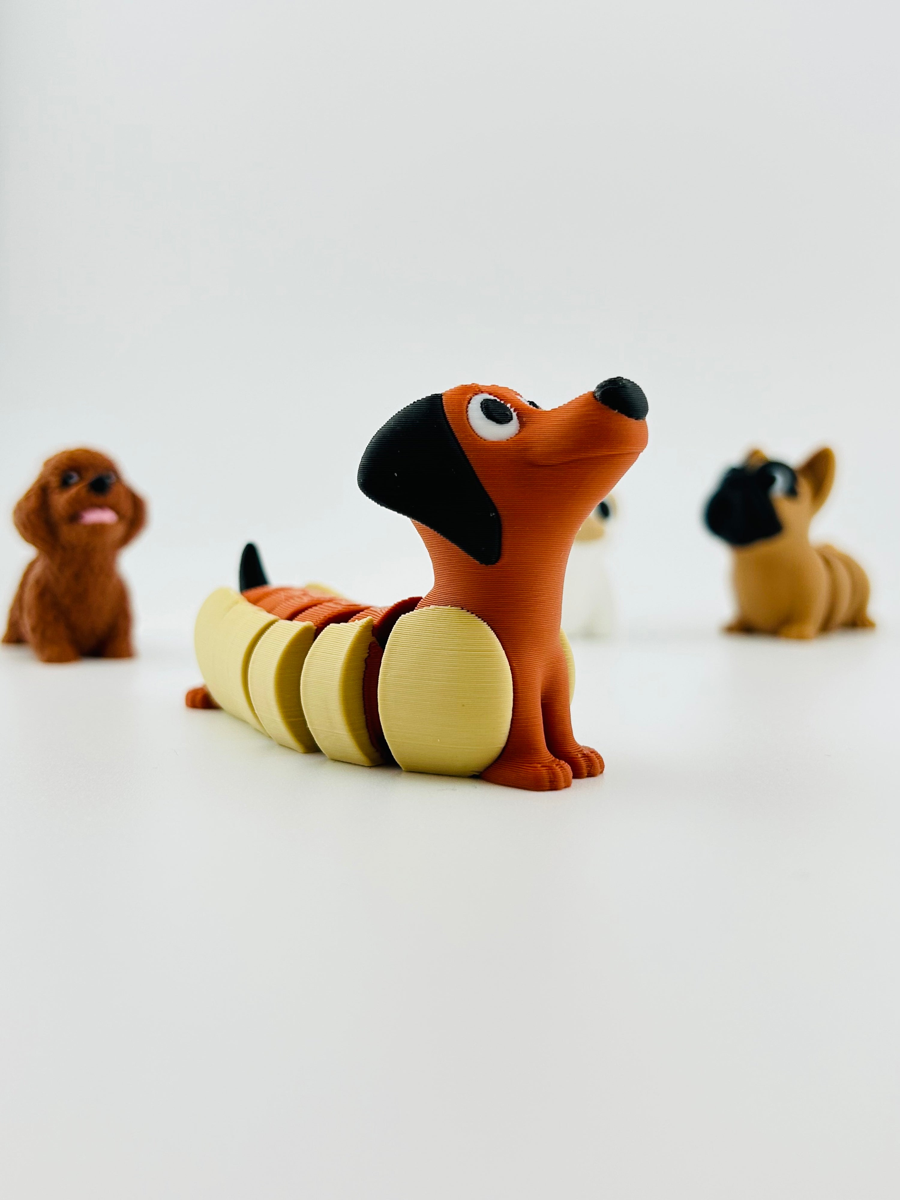 Hotdog Dog