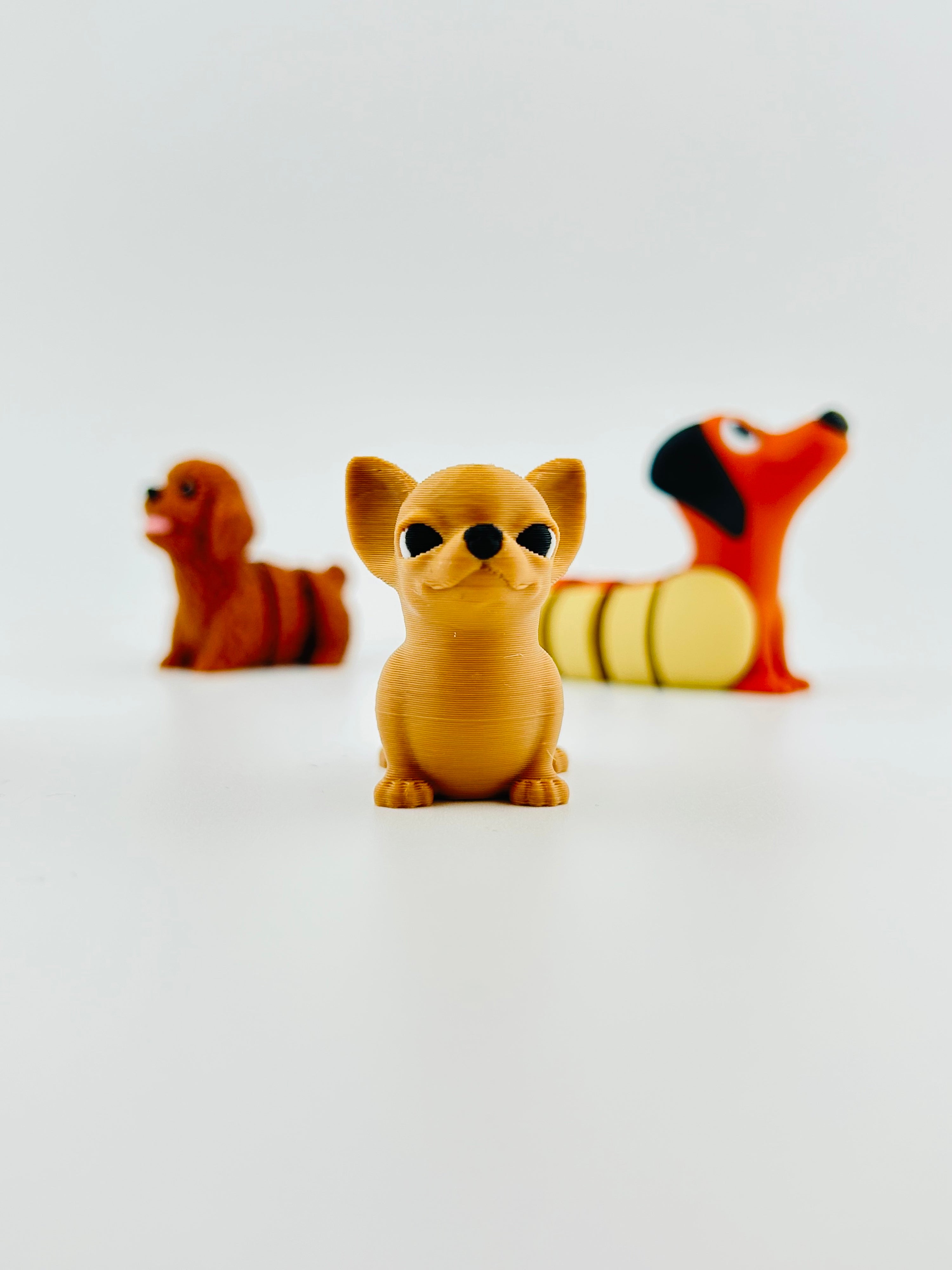 Chihuahua