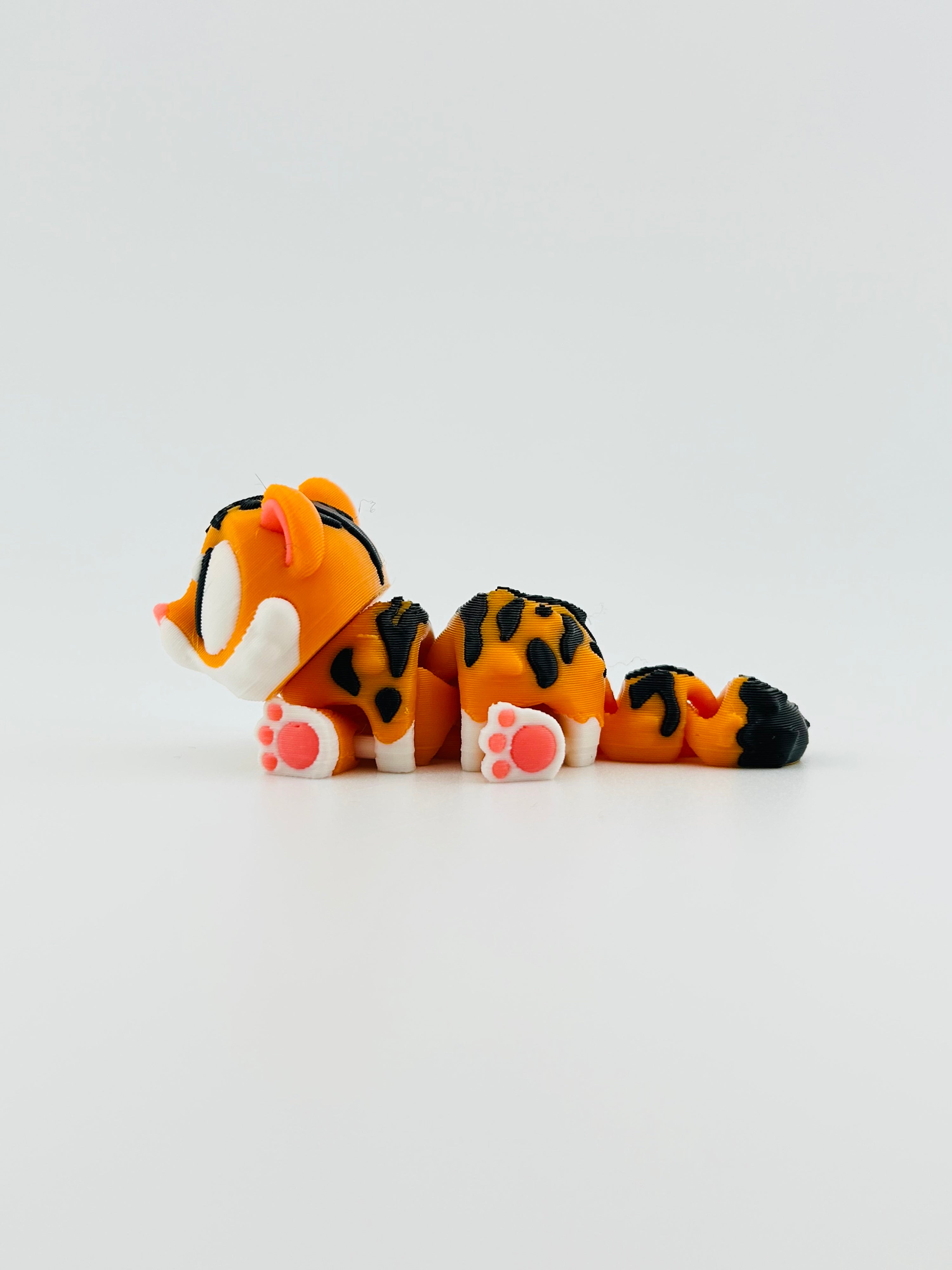 Little Tiger