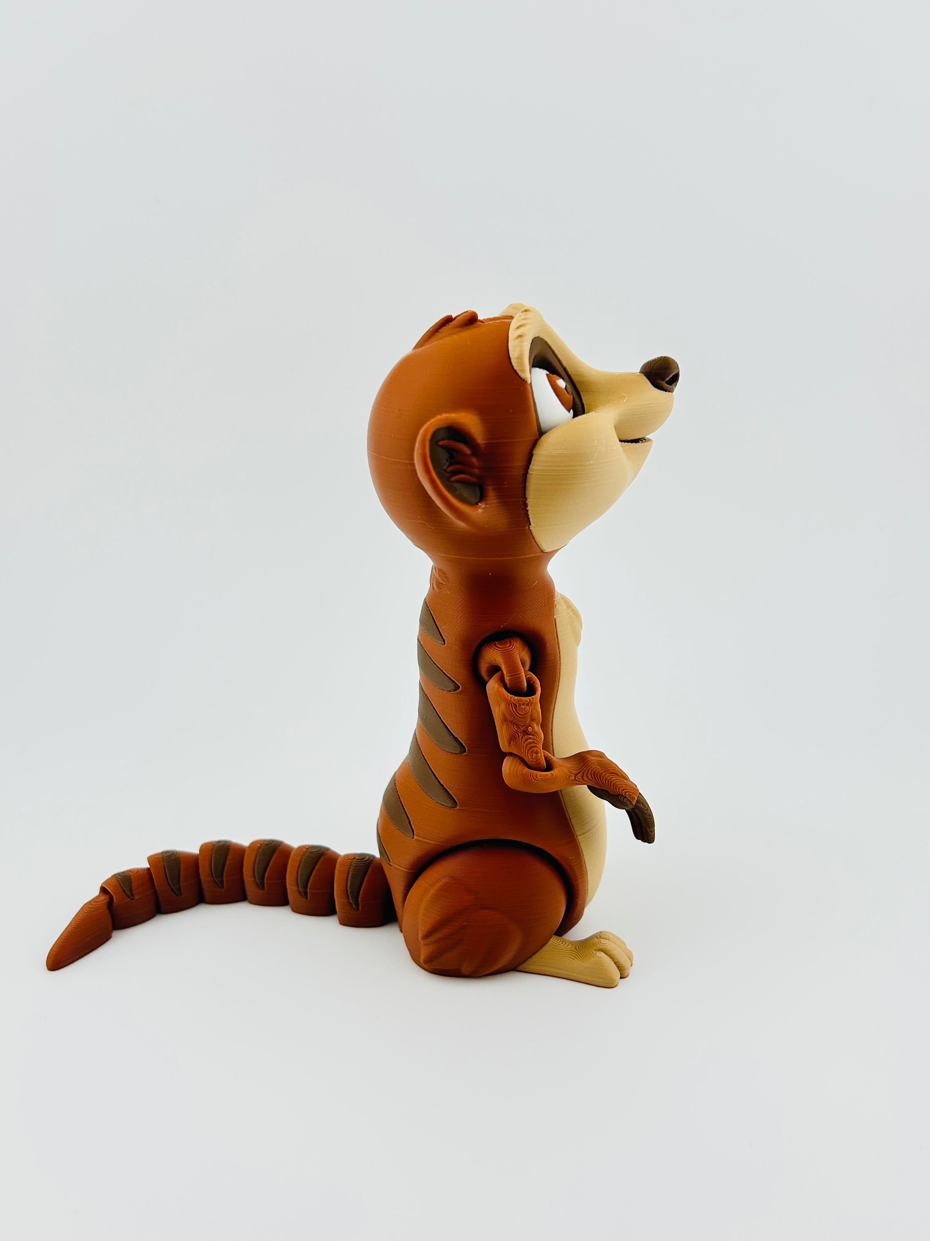 Meerkat