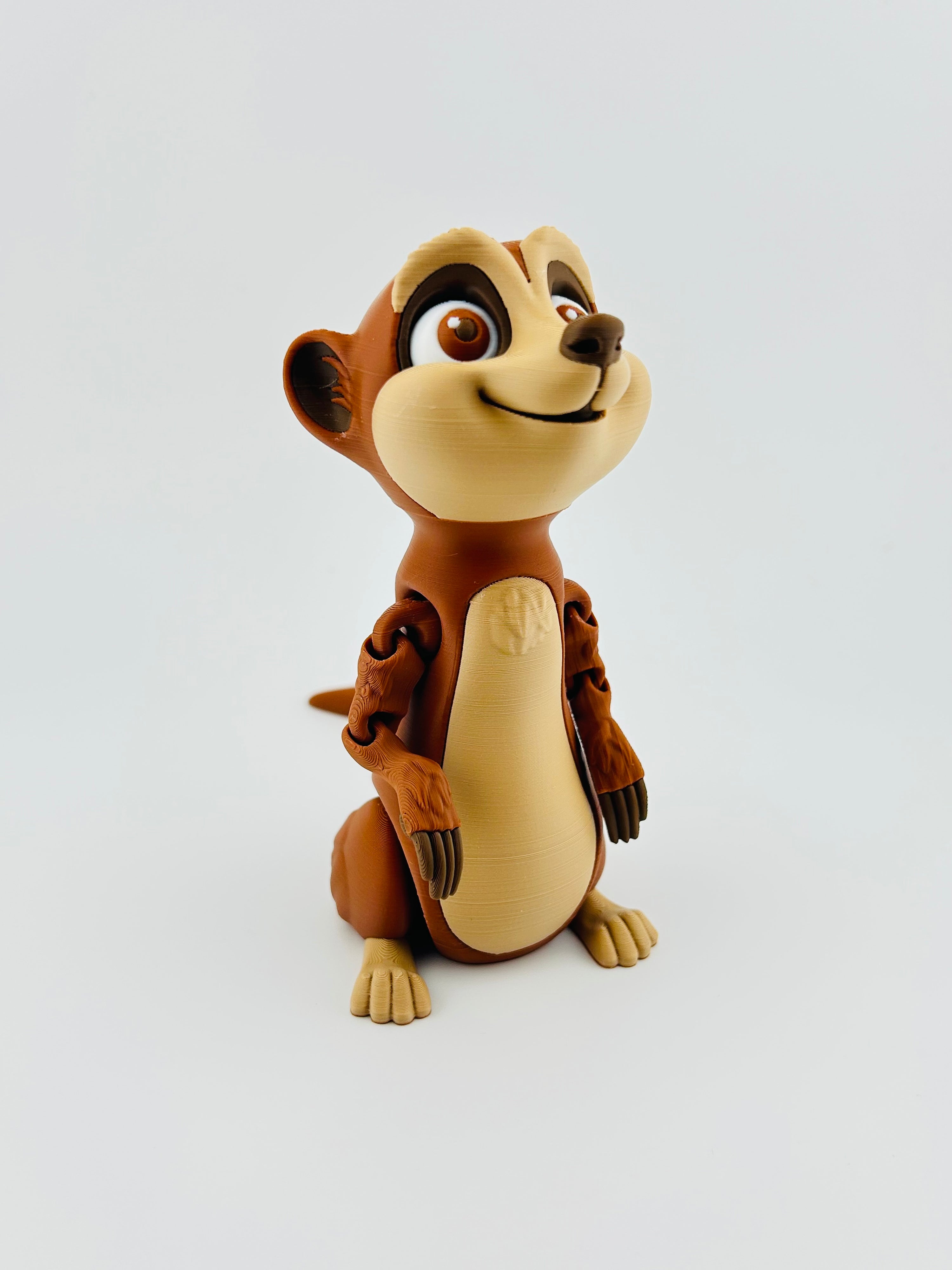 Meerkat