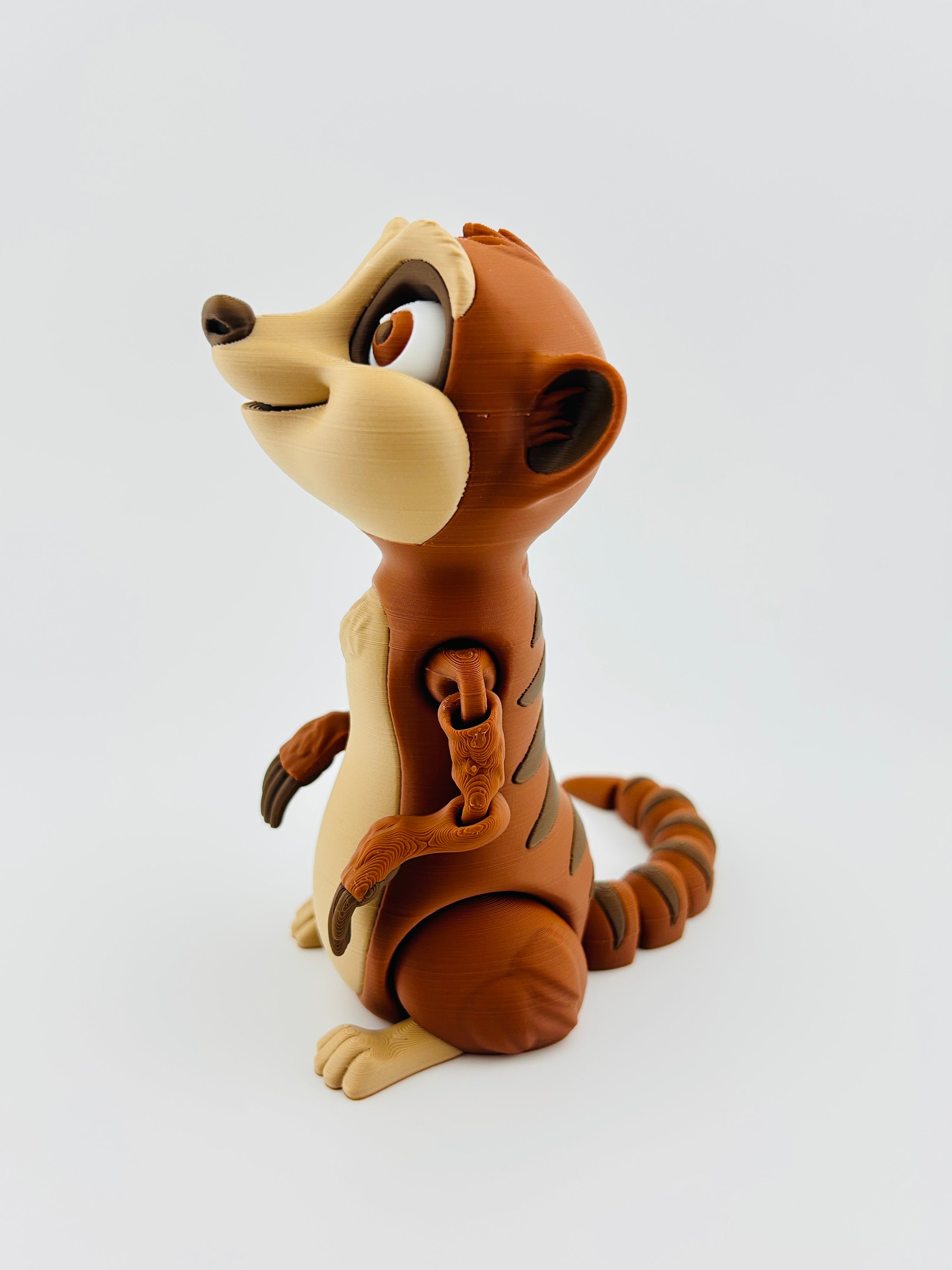 Meerkat