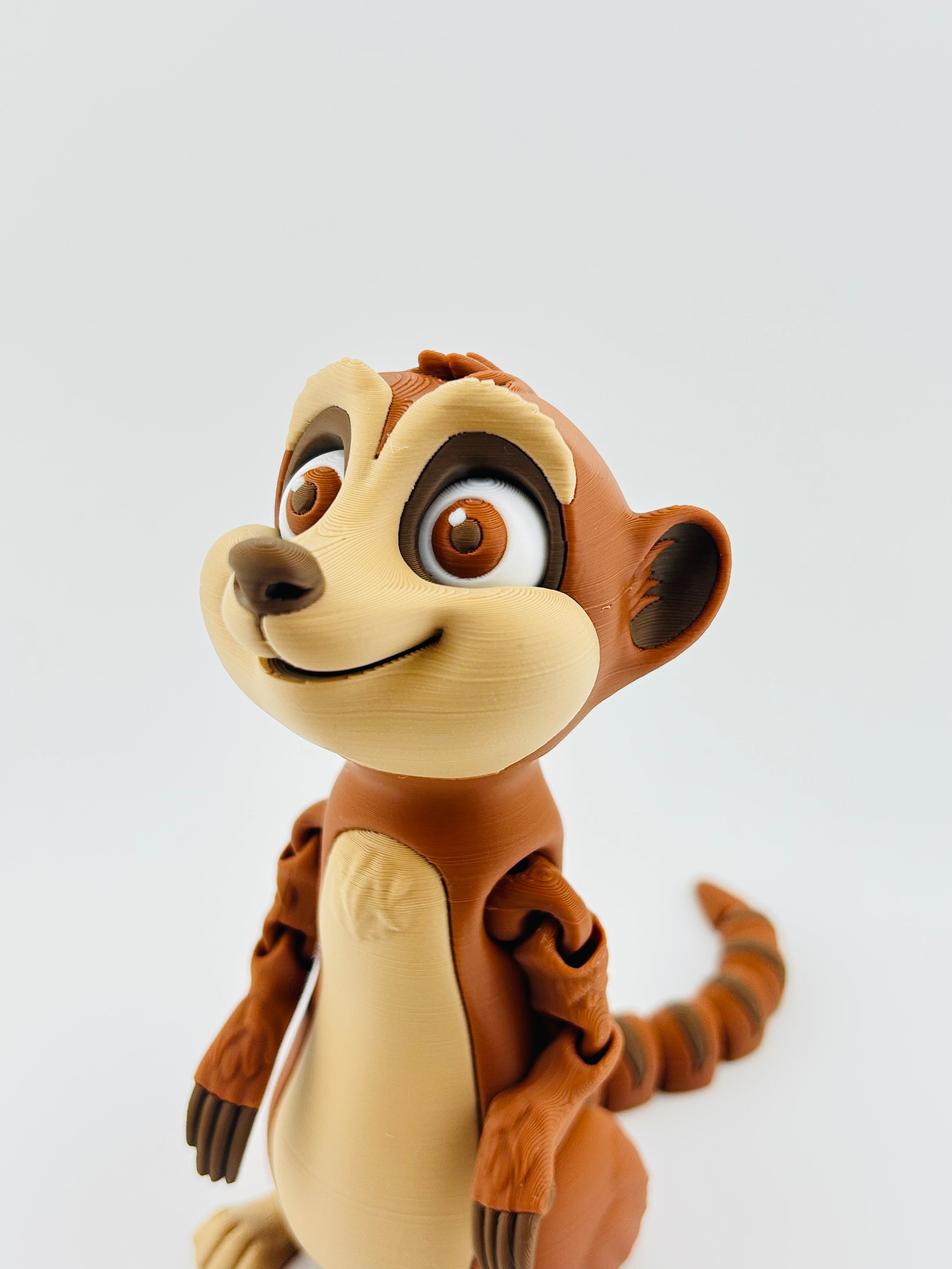 Meerkat