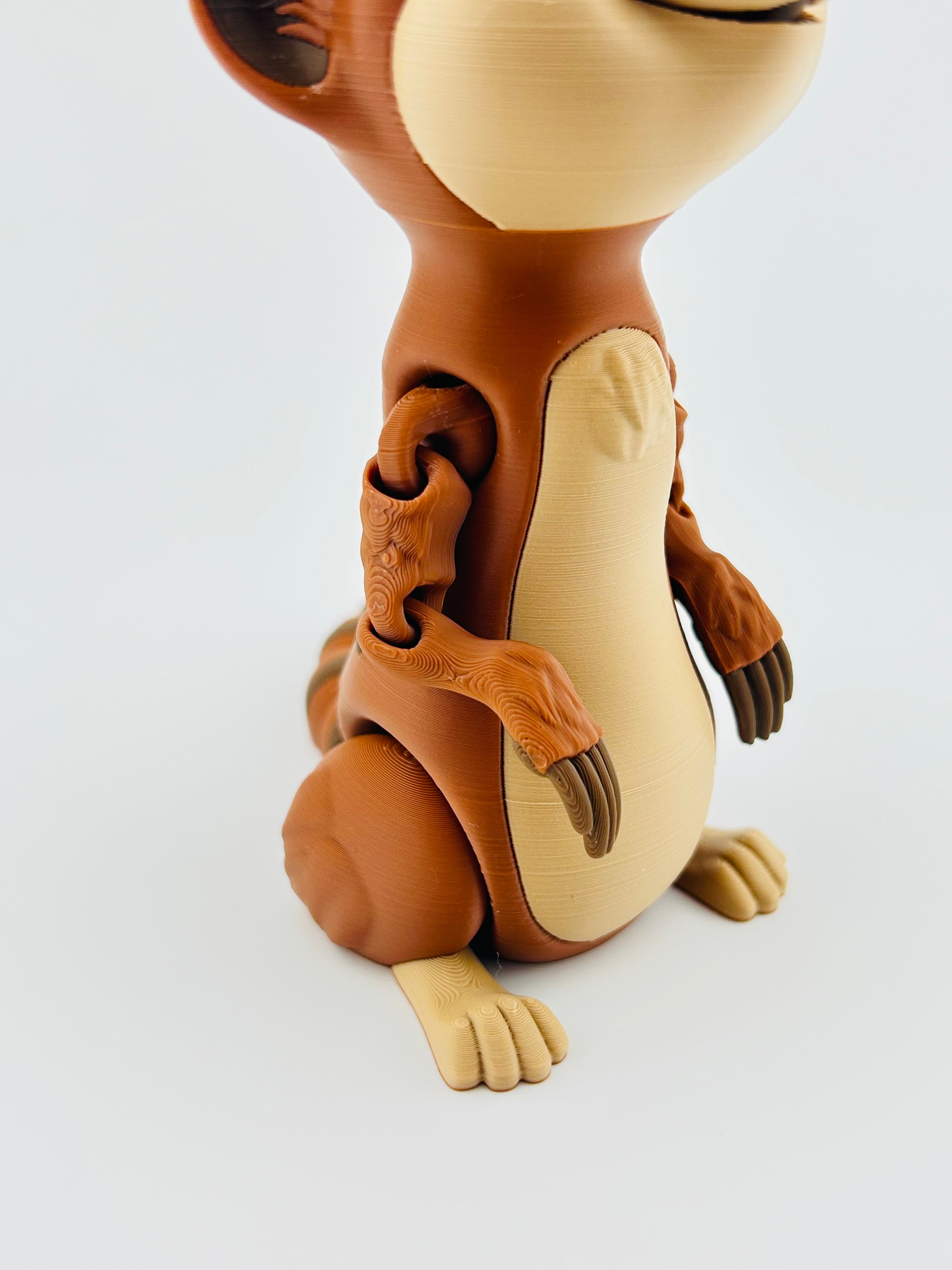 Meerkat