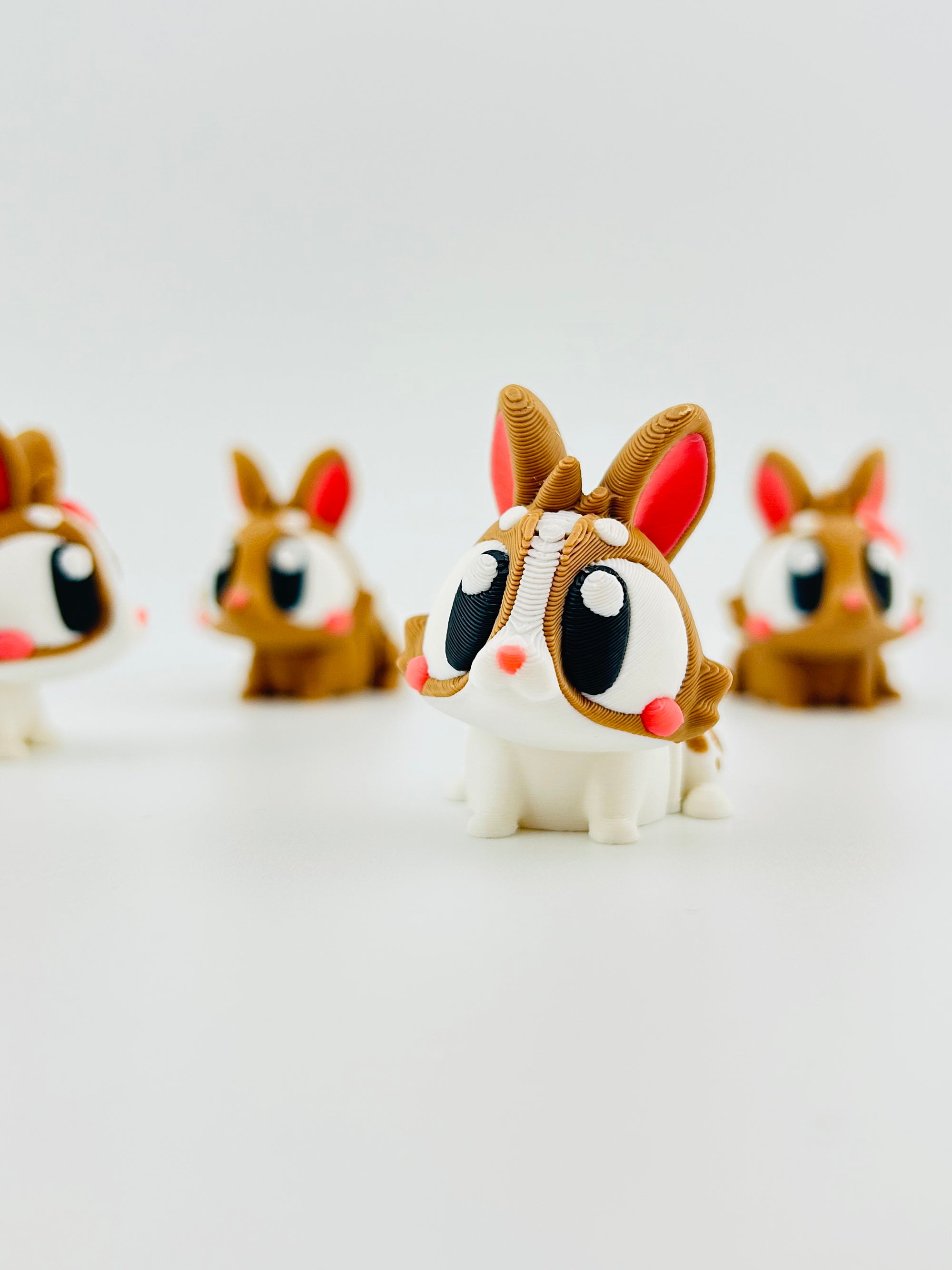 White Bunnies