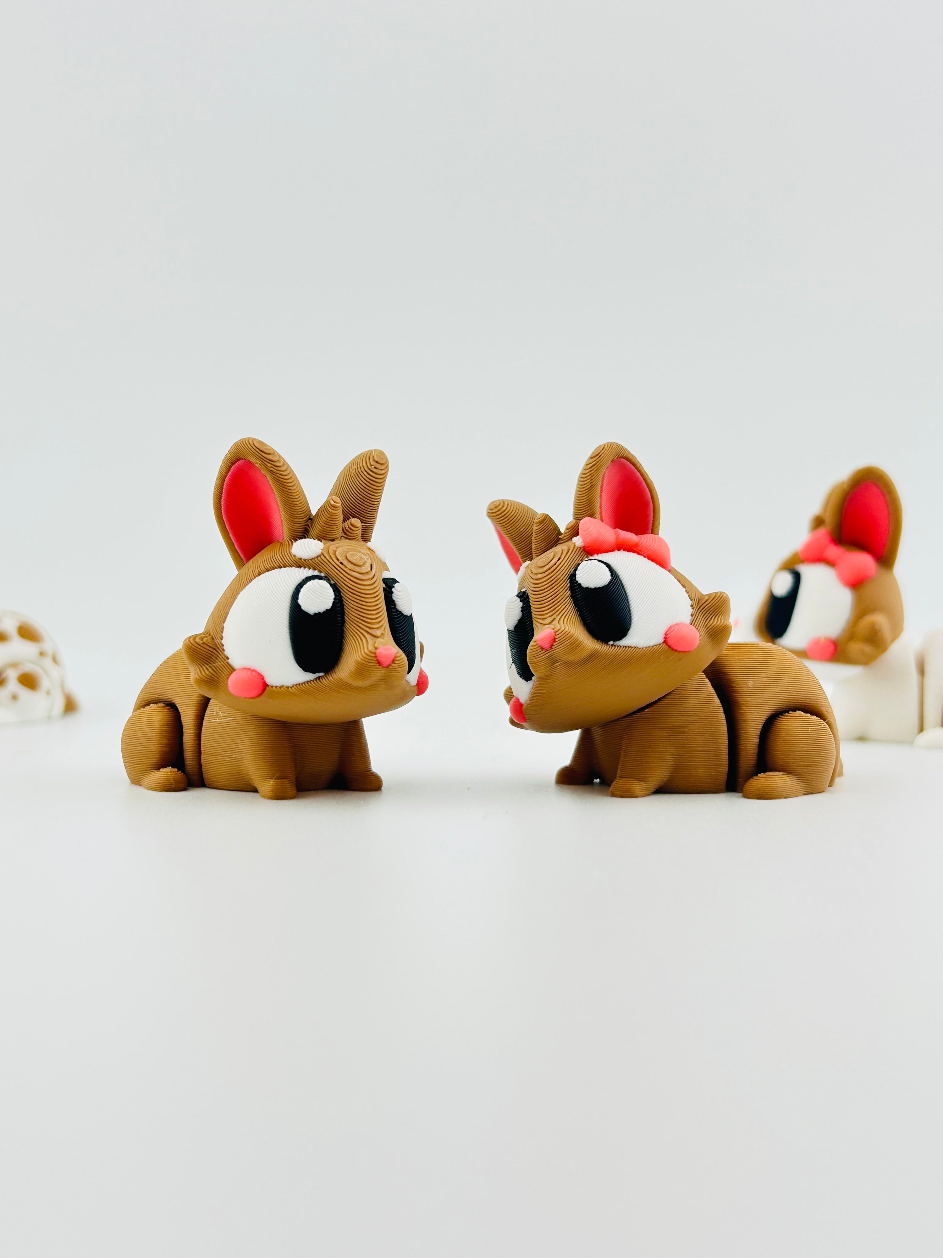 Brown Bunnies