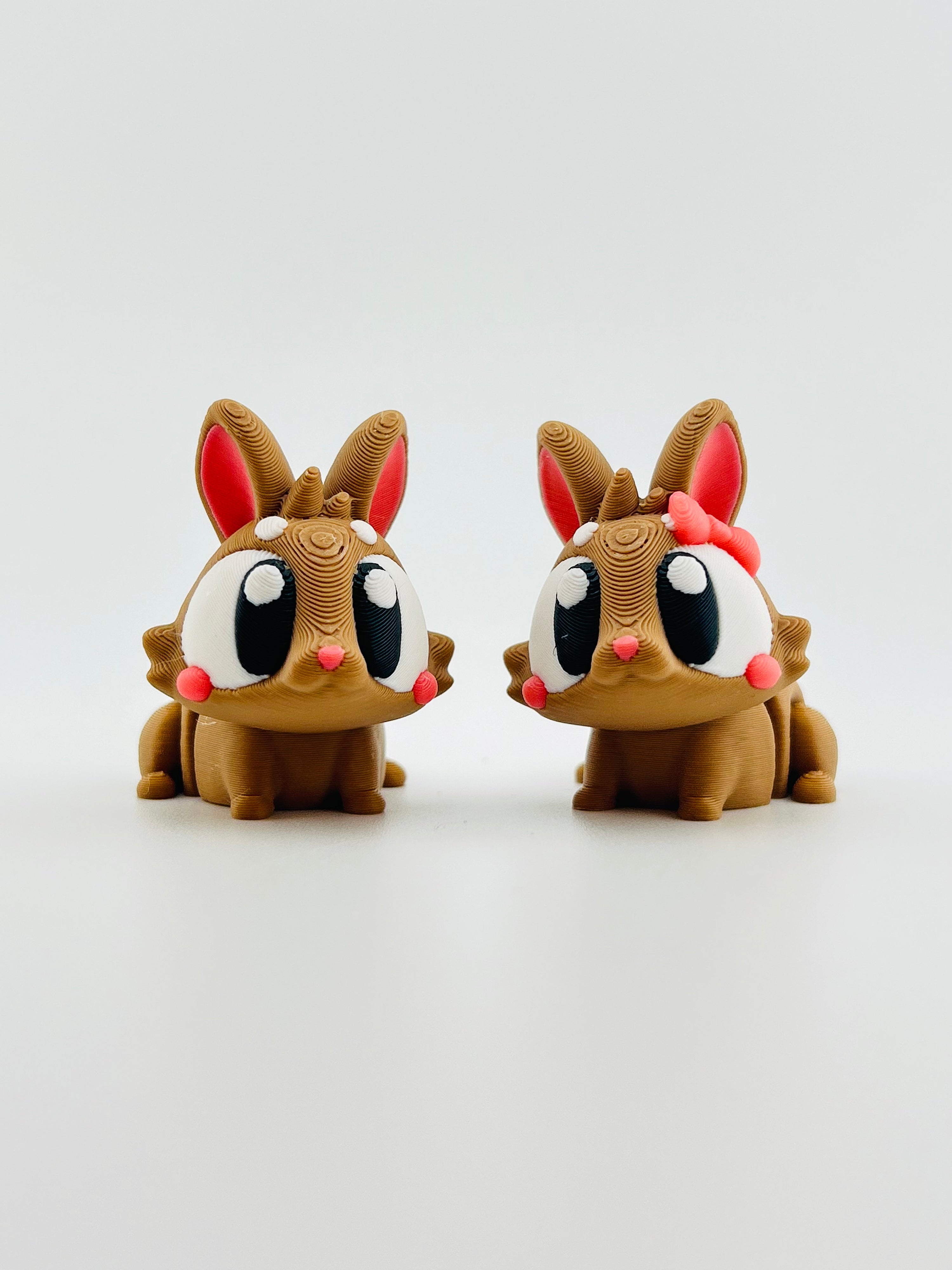 Brown Bunnies