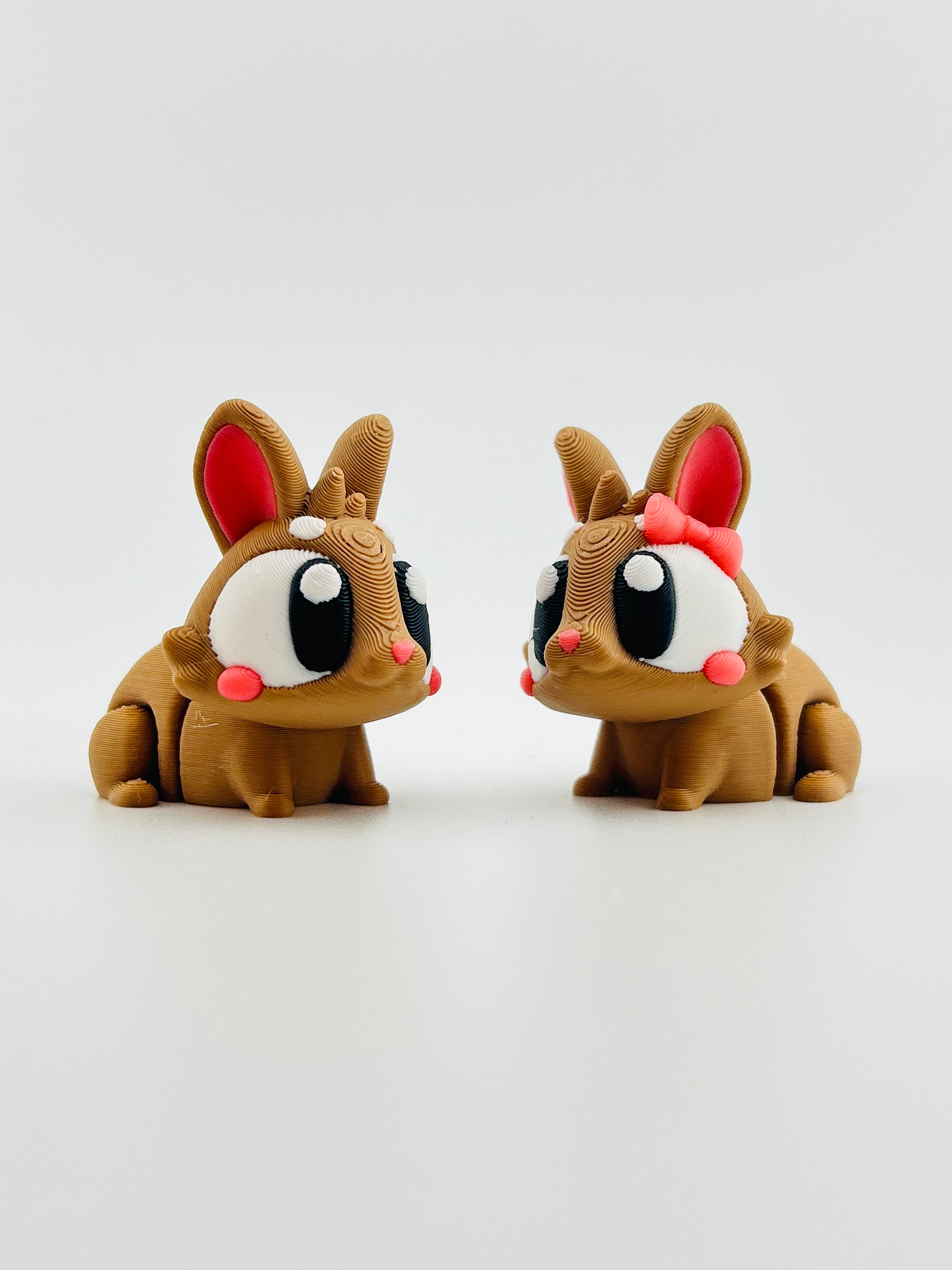 Brown Bunnies