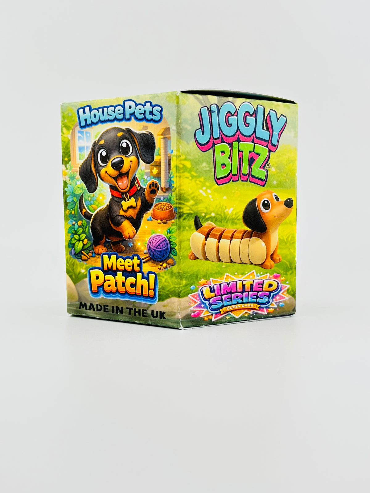 House Pets Mystery Box