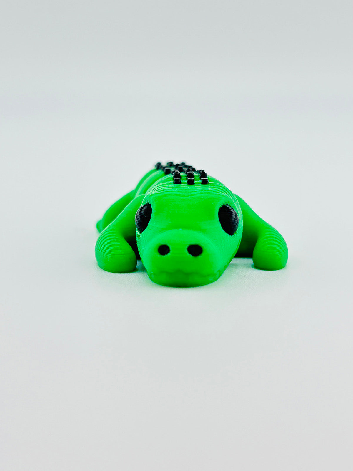 Baby Alligator