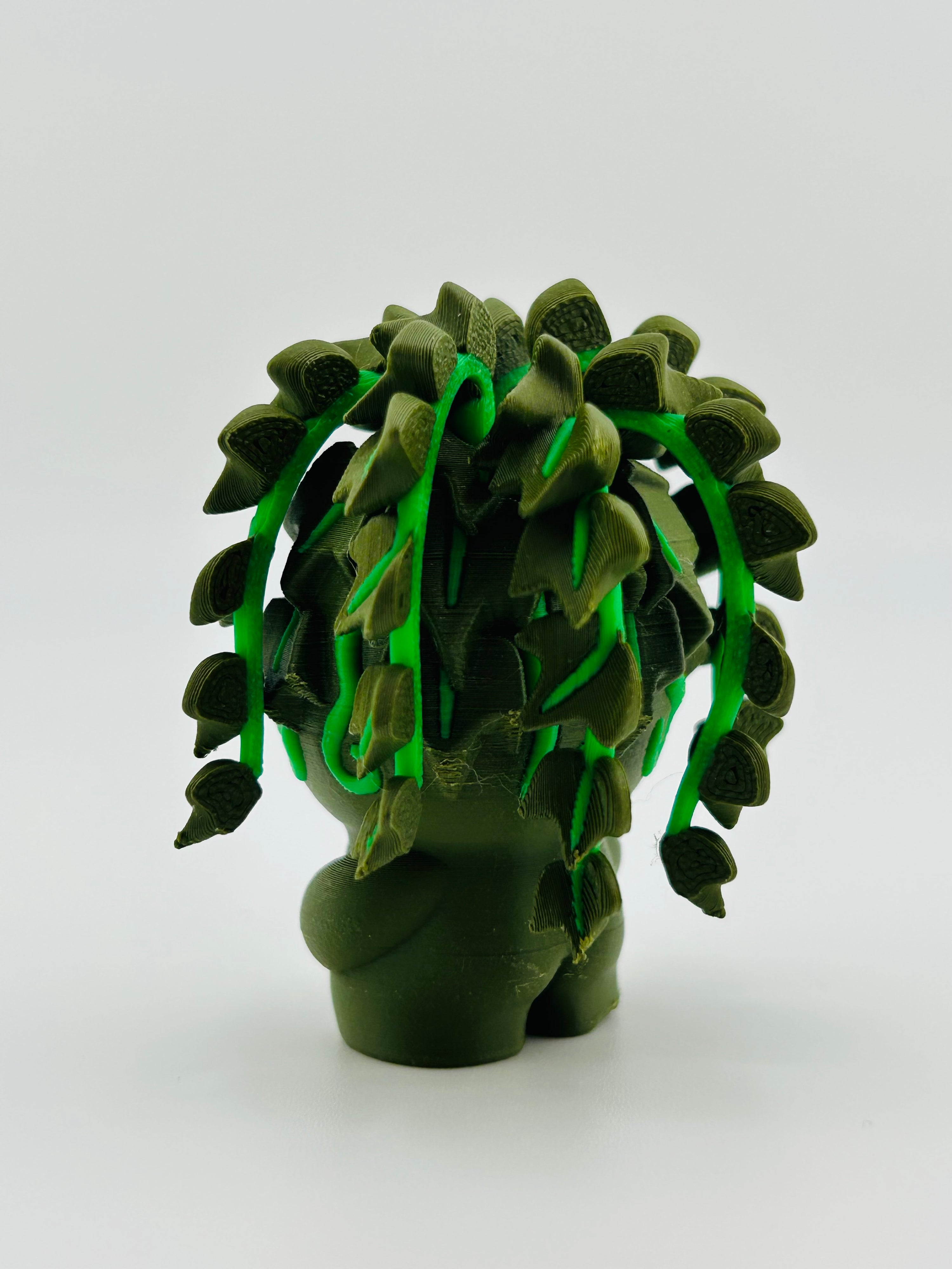 Dark Green Ivy