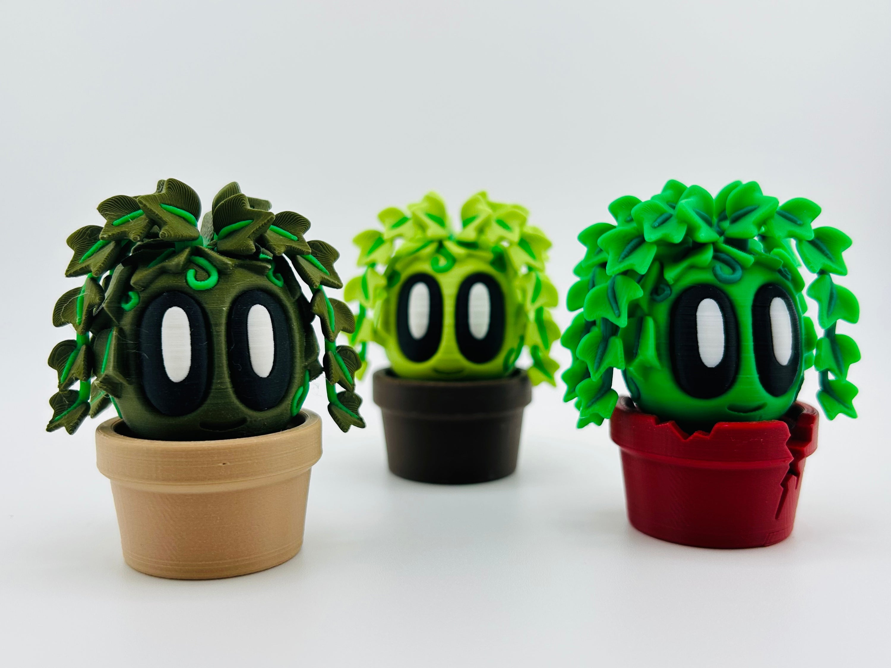 Dark Green Ivy
