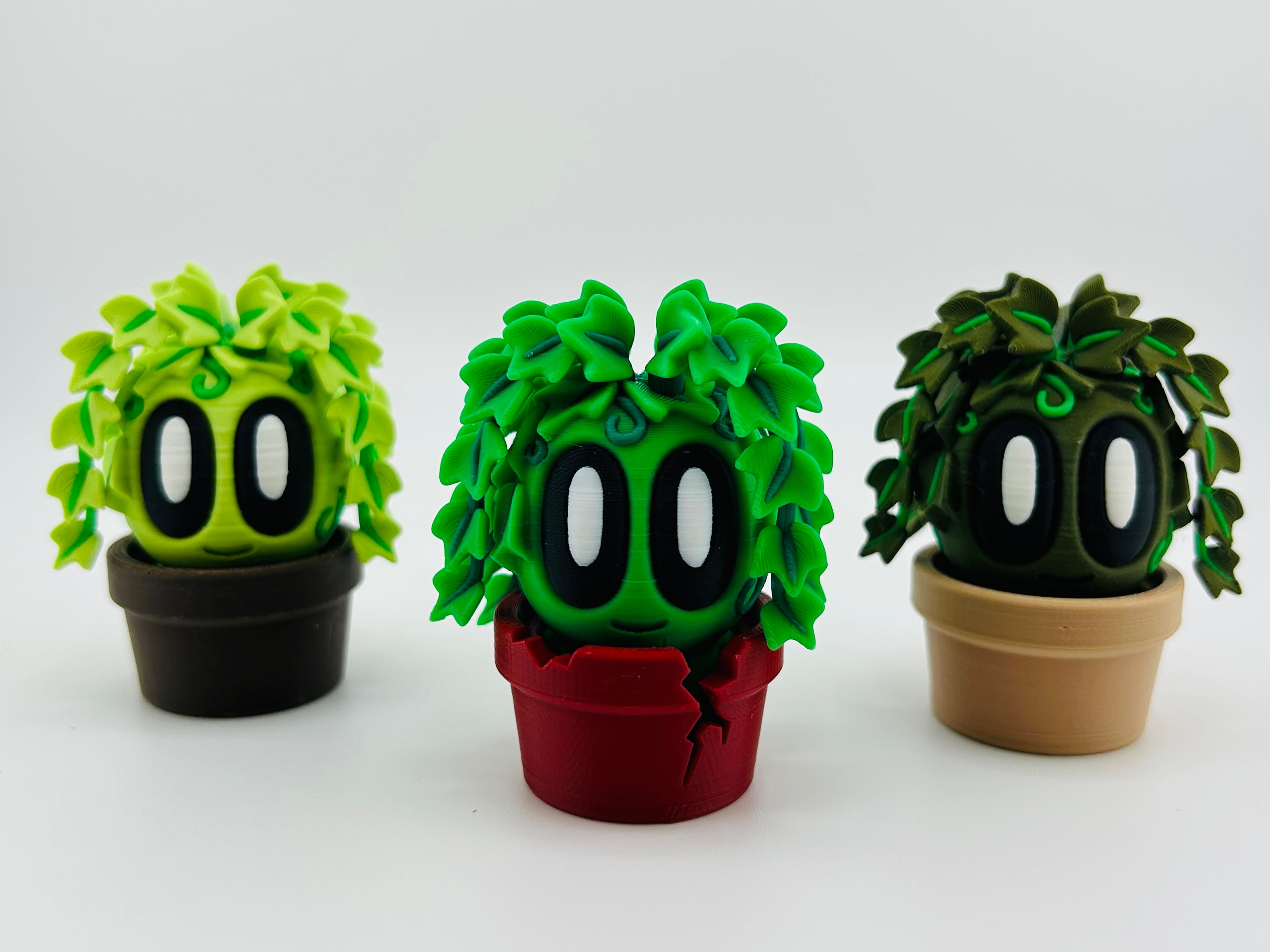 Dark Green Ivy
