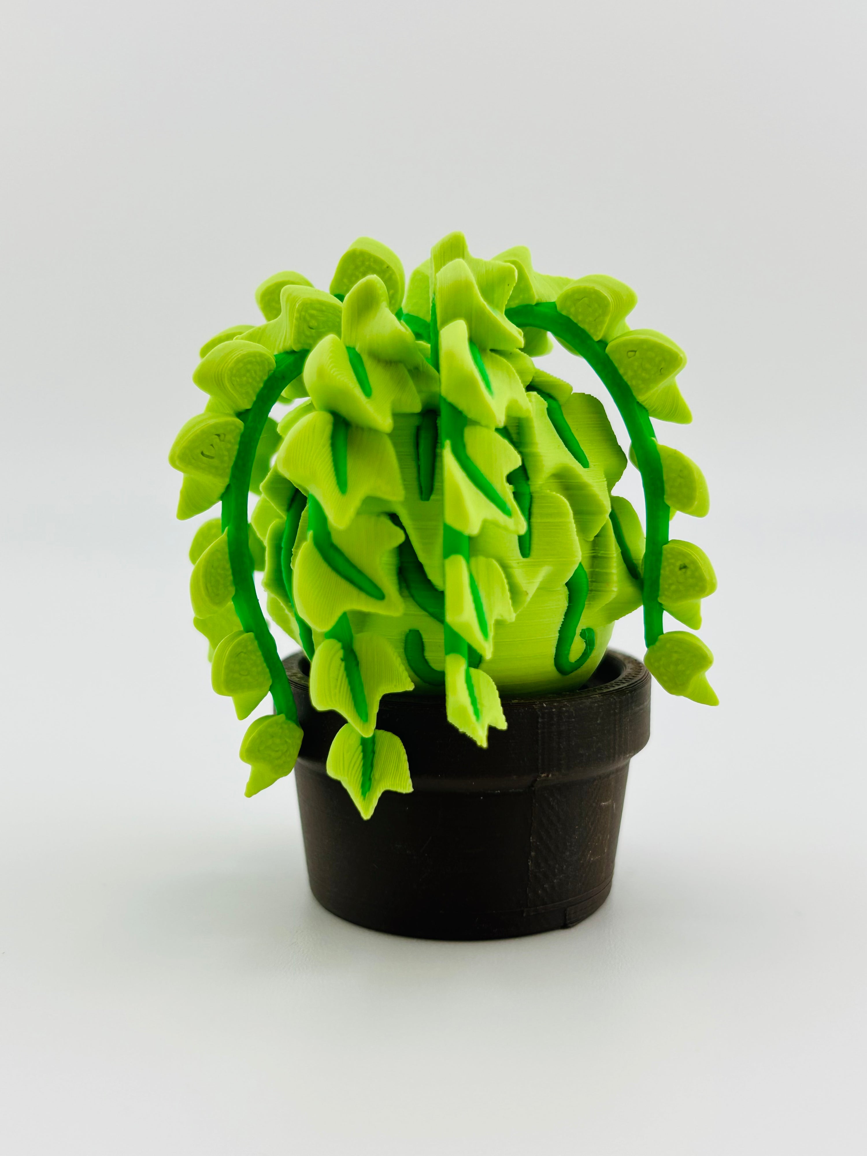 Light Green Ivy