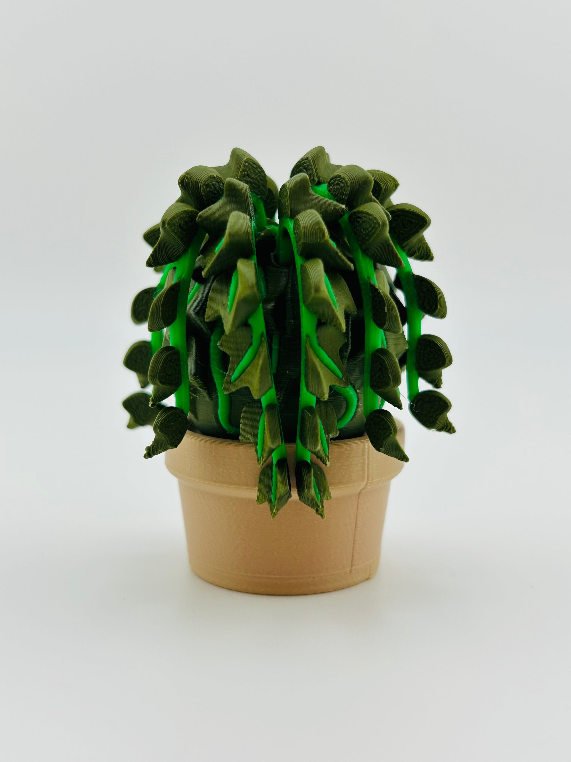 Dark Green Ivy