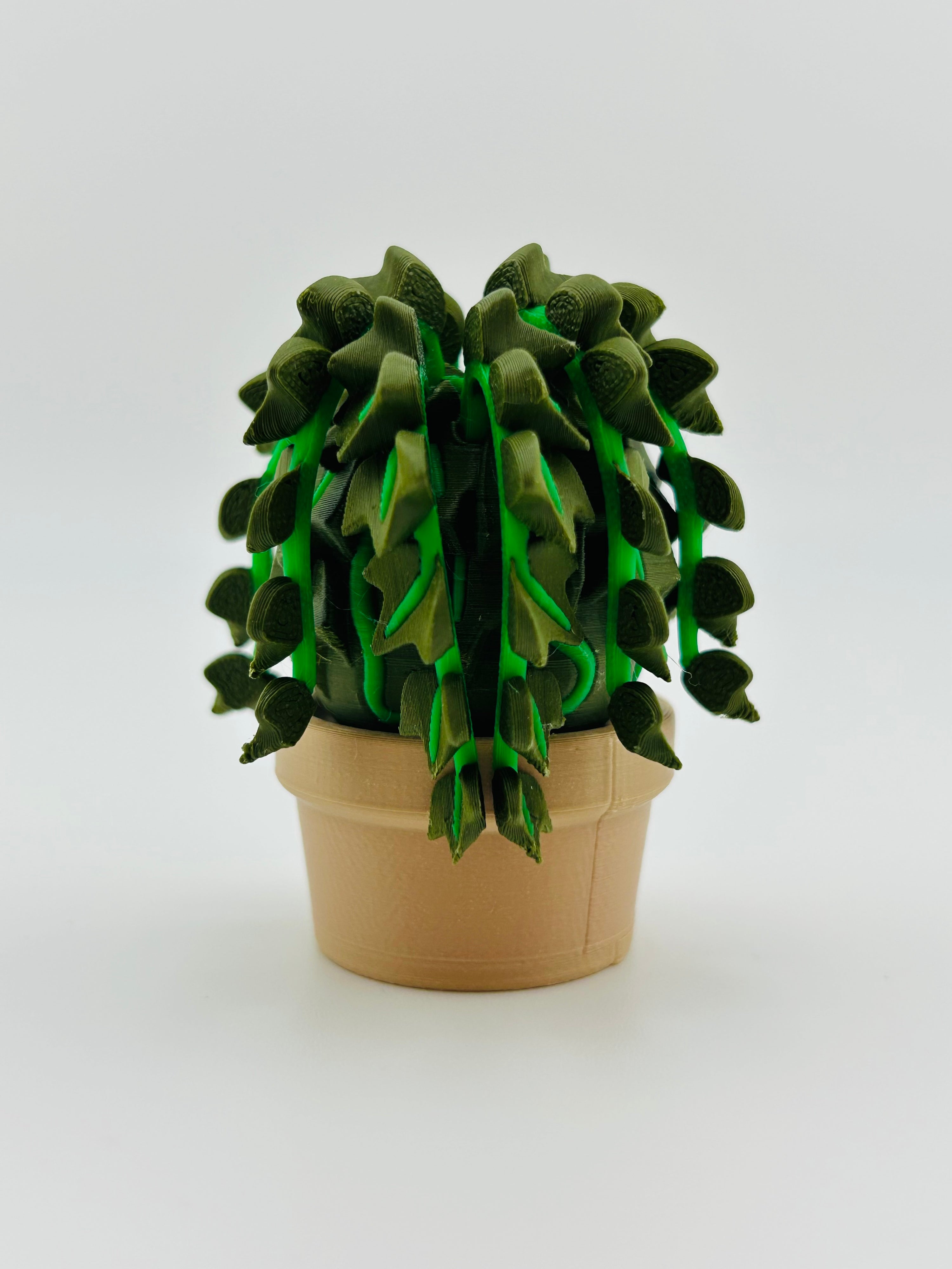 Dark Green Ivy