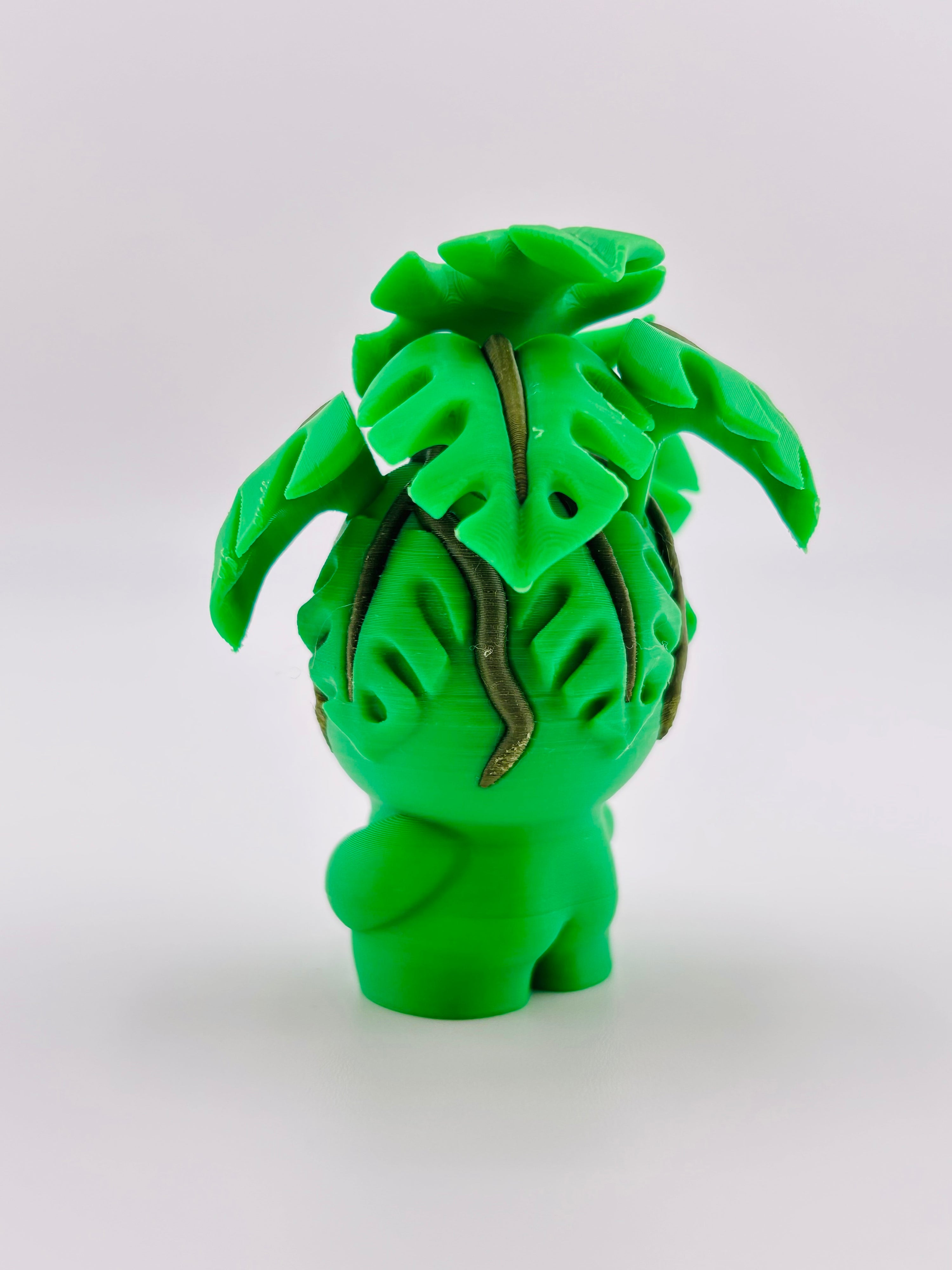 Monstera