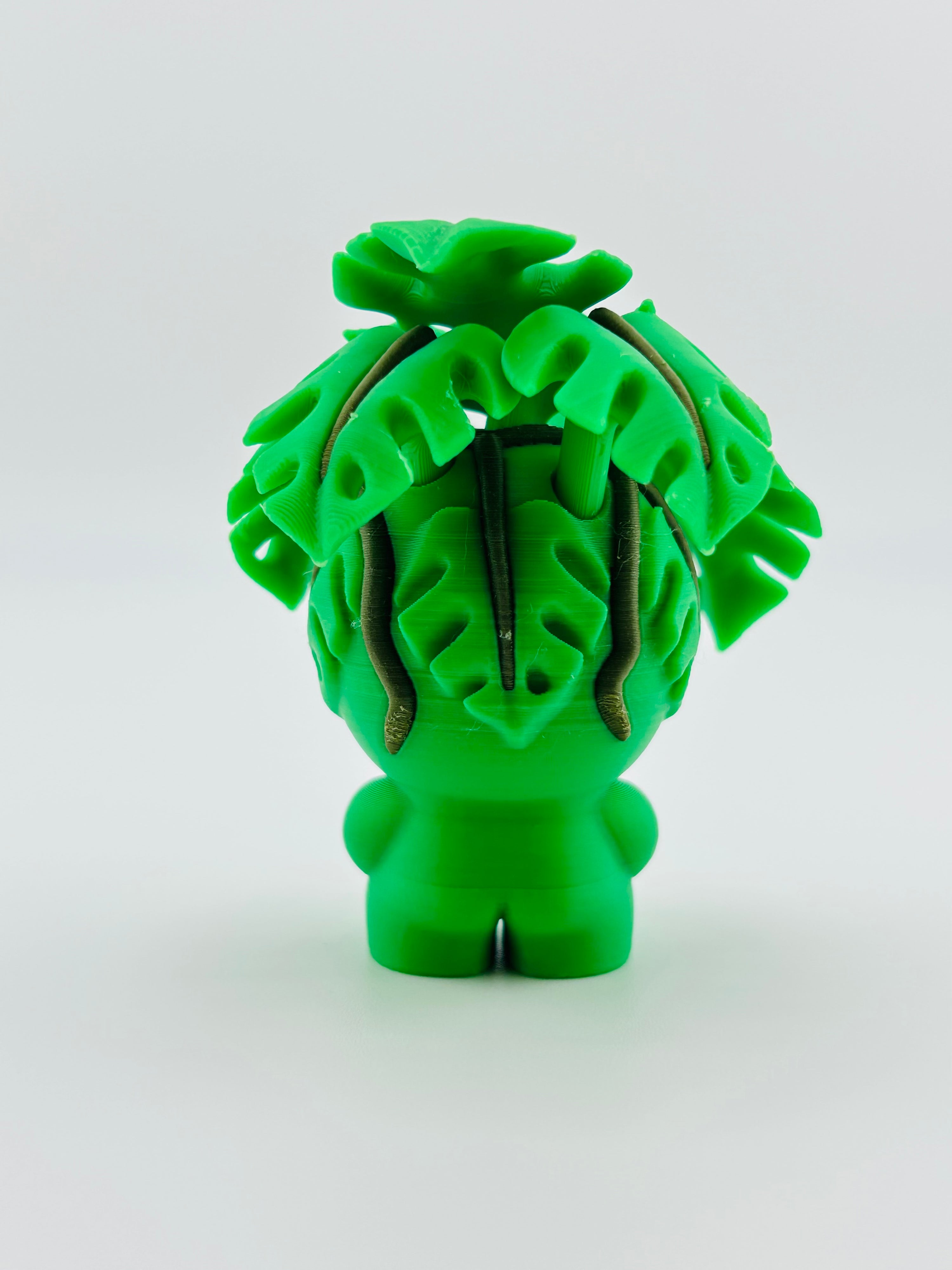 Monstera