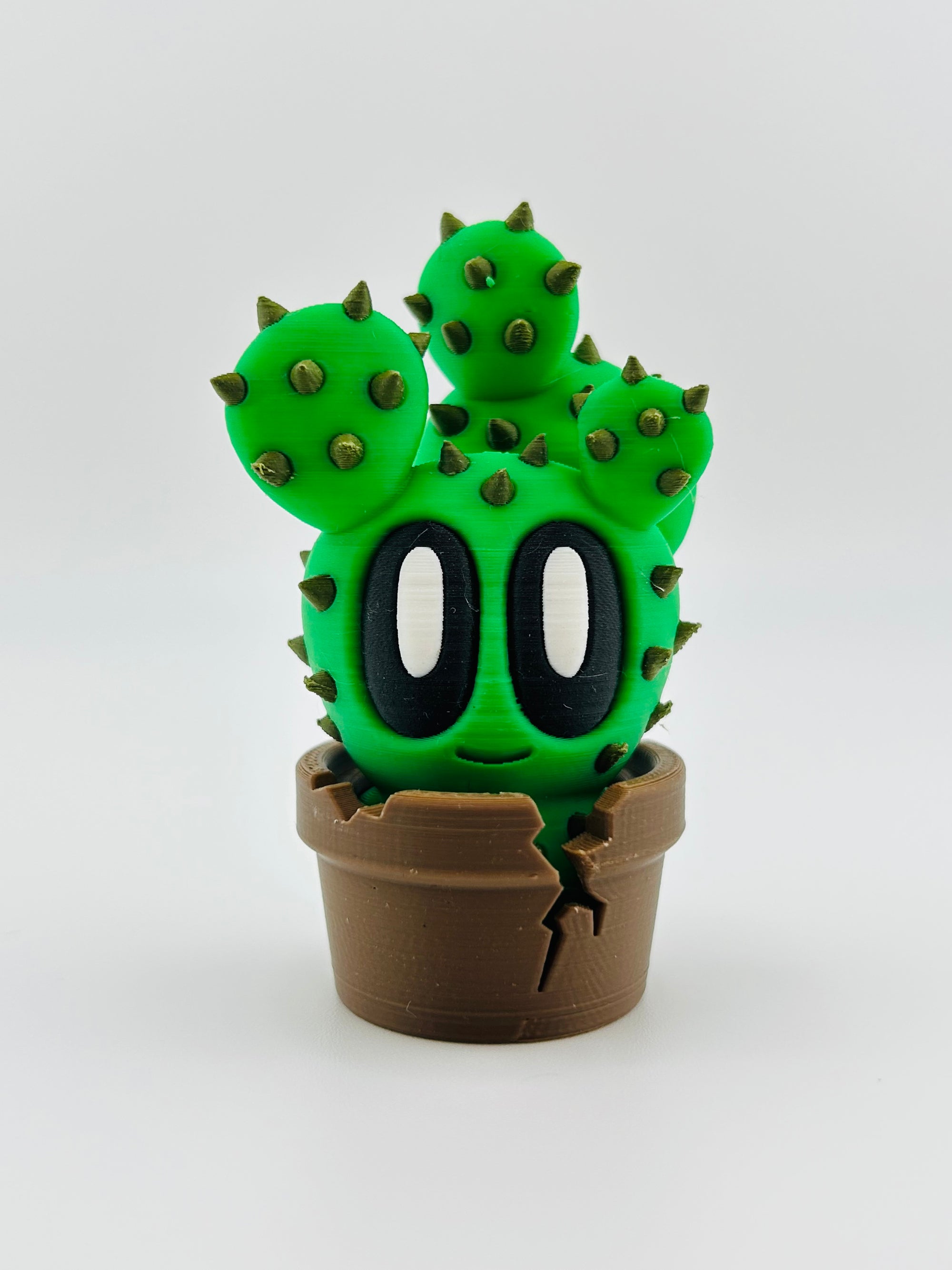 Cactus