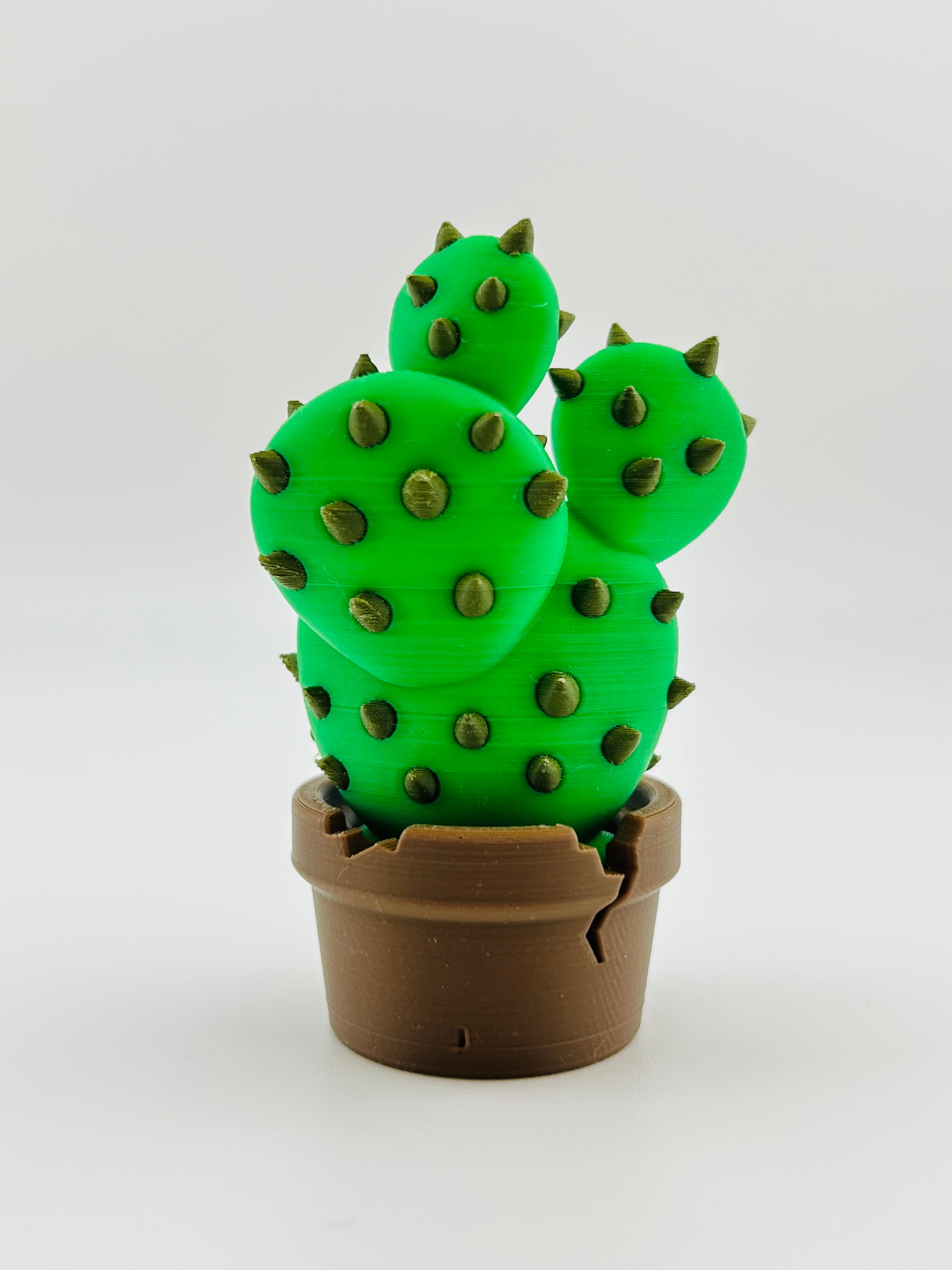 Cactus
