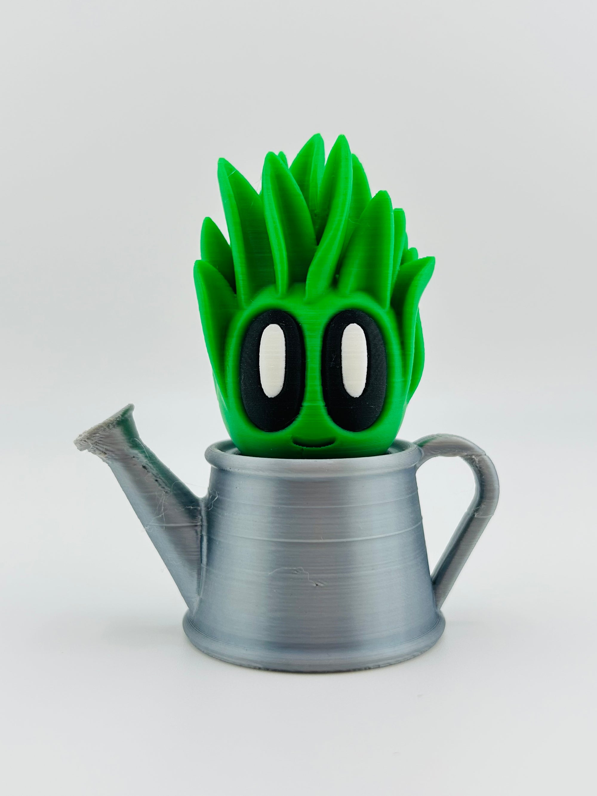 Grass