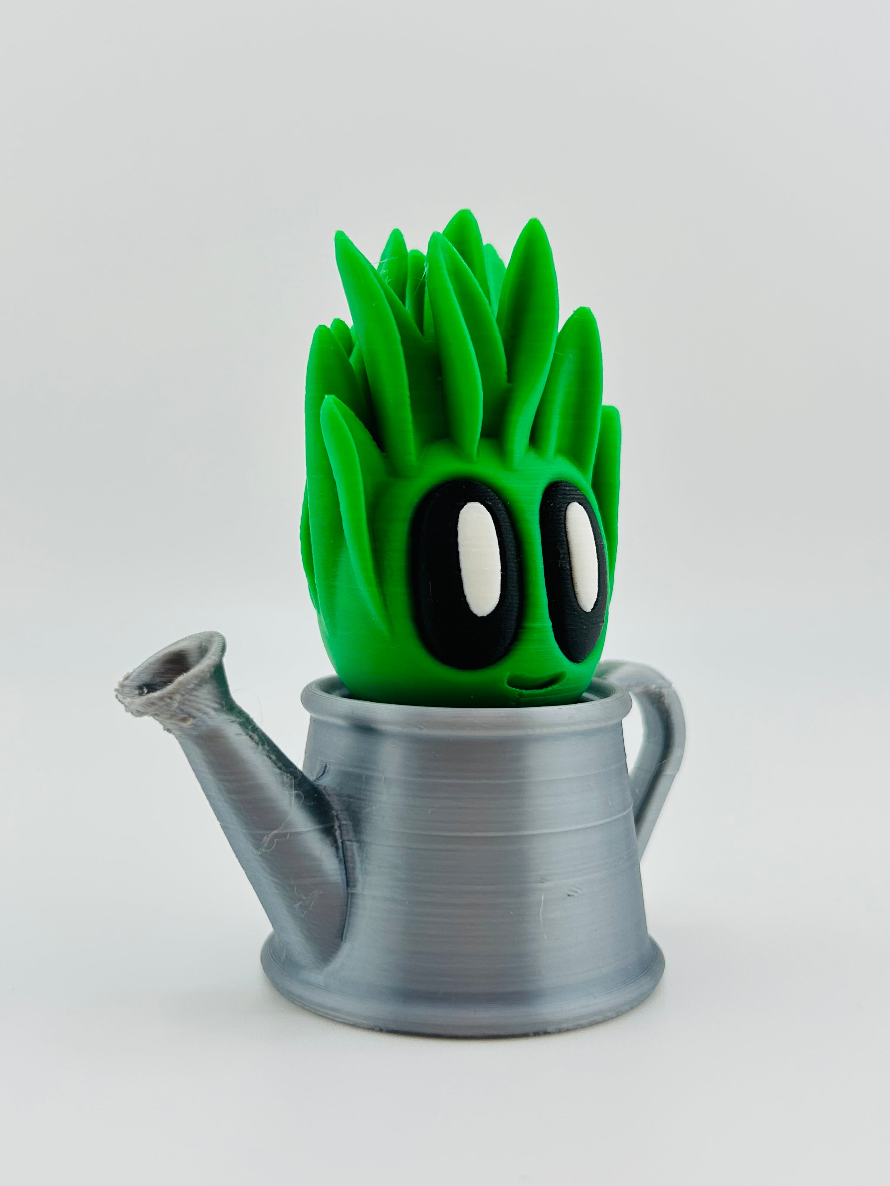 Grass