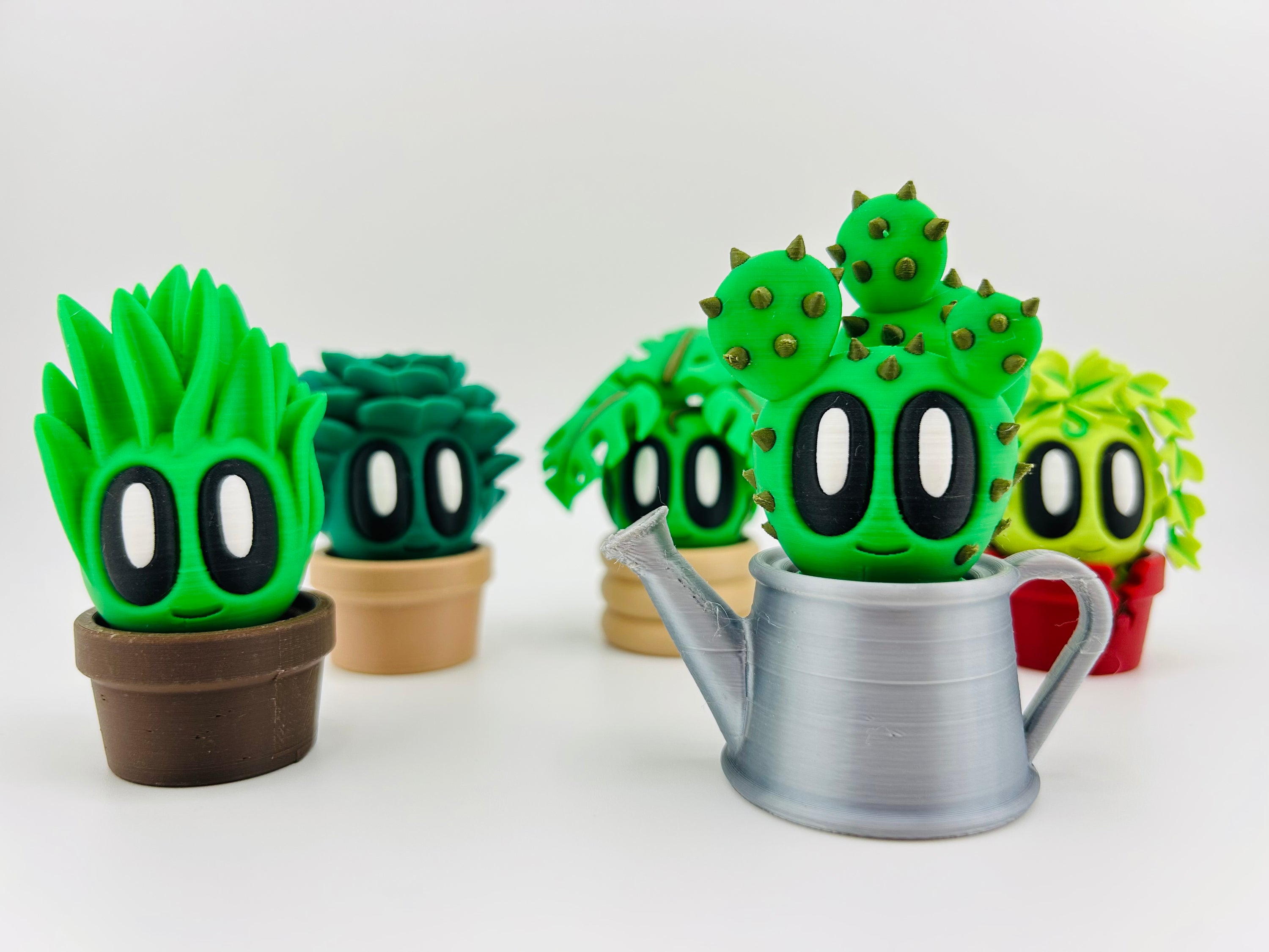 Cactus