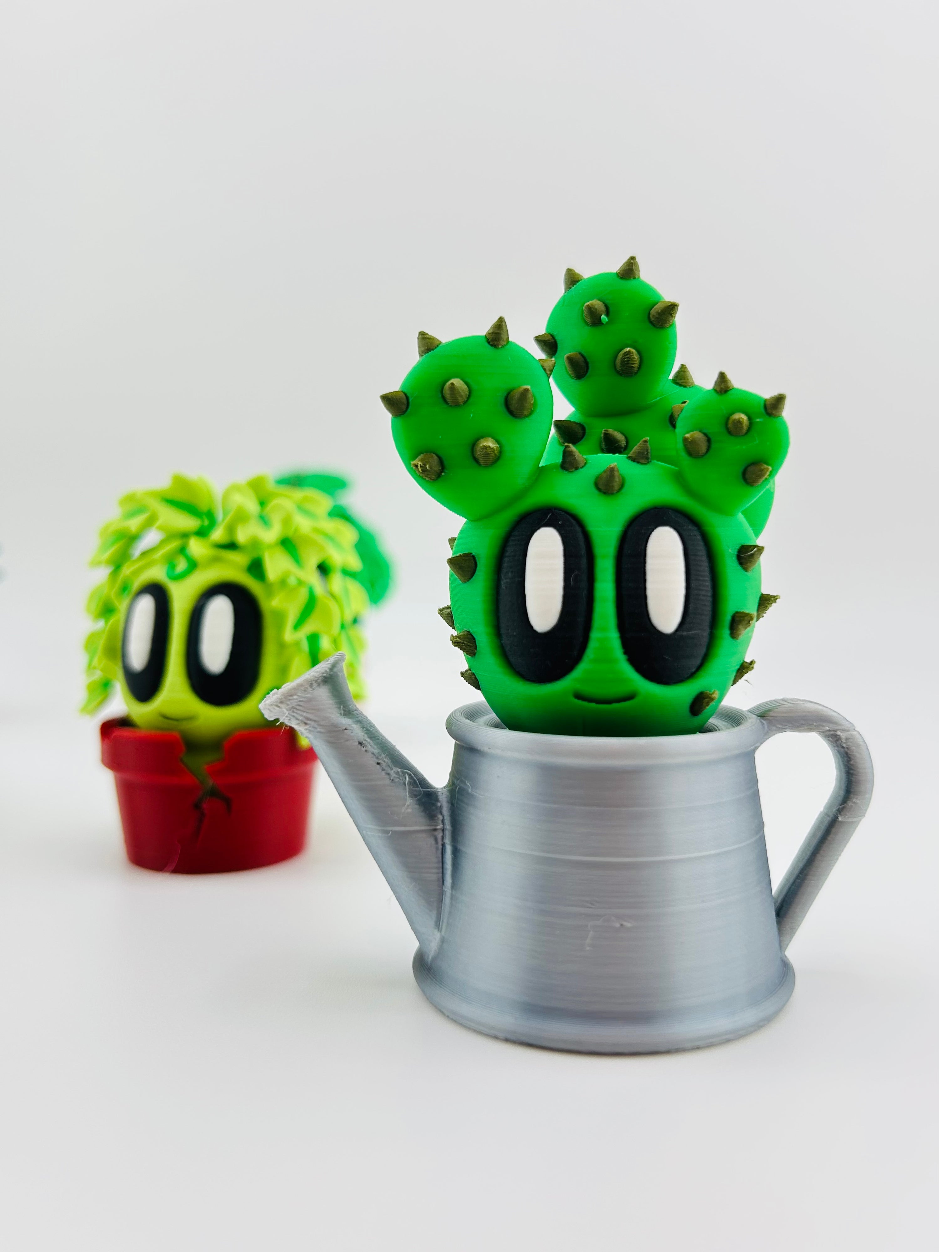 Cactus
