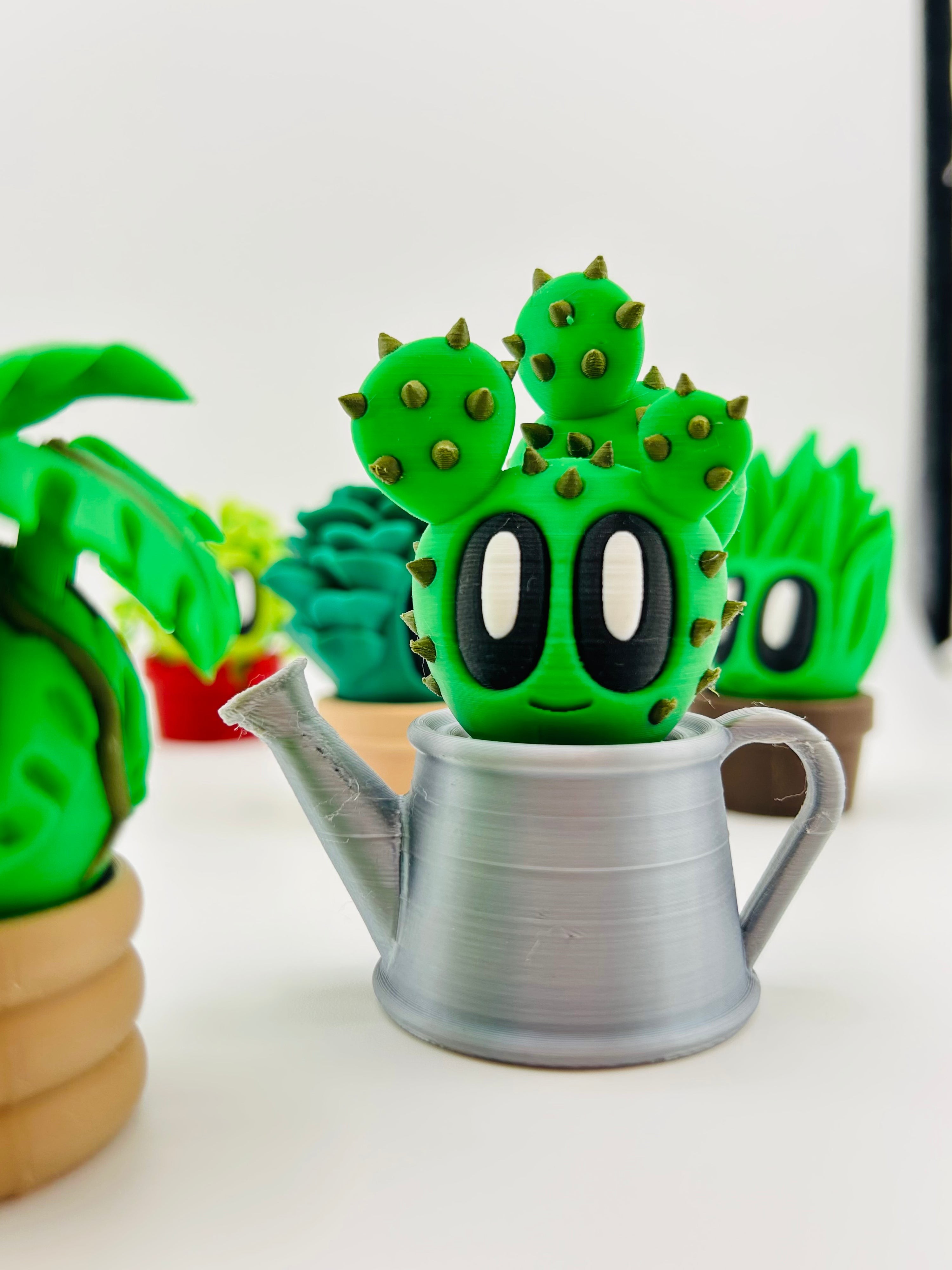 Cactus