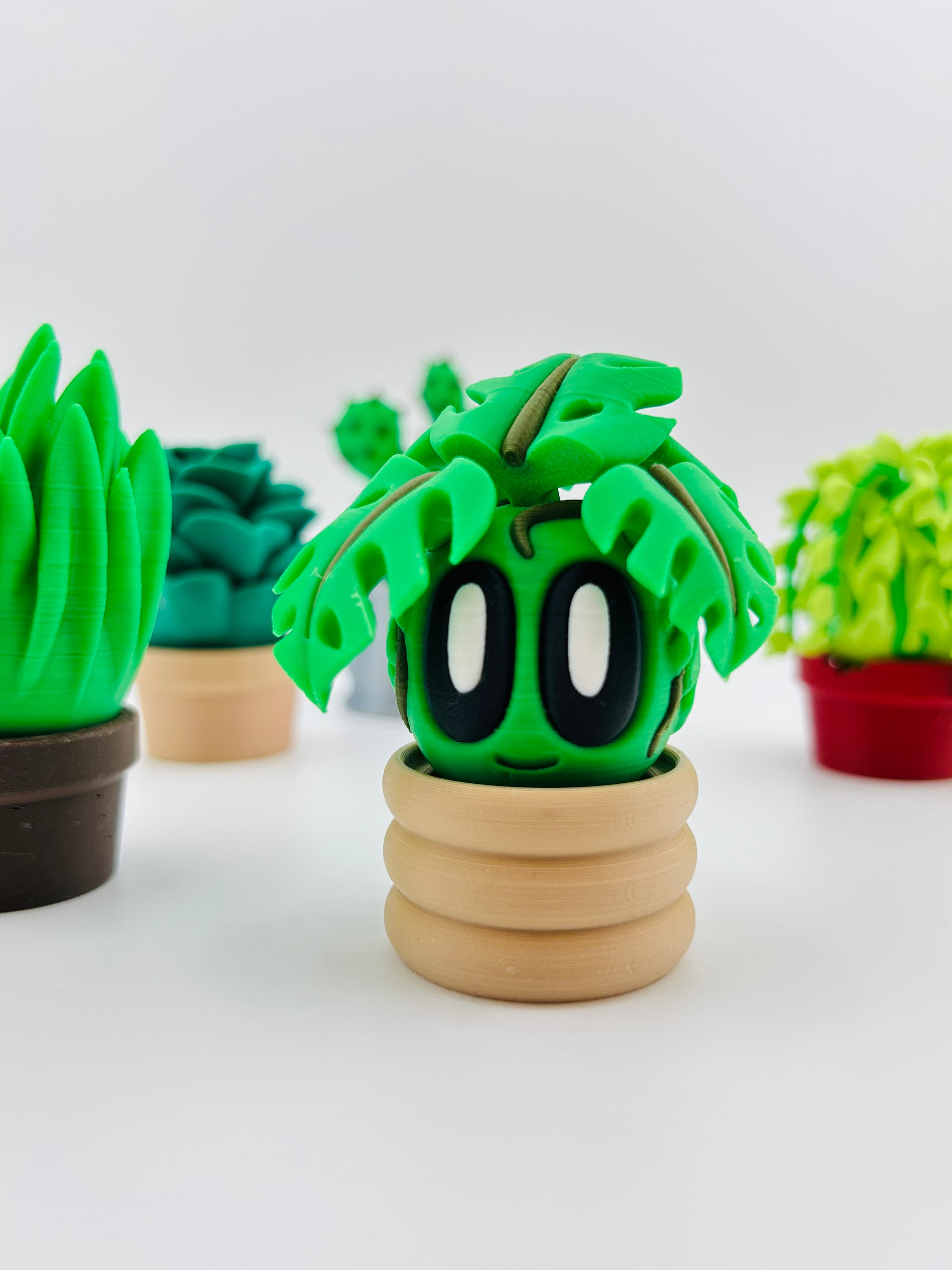 Monstera