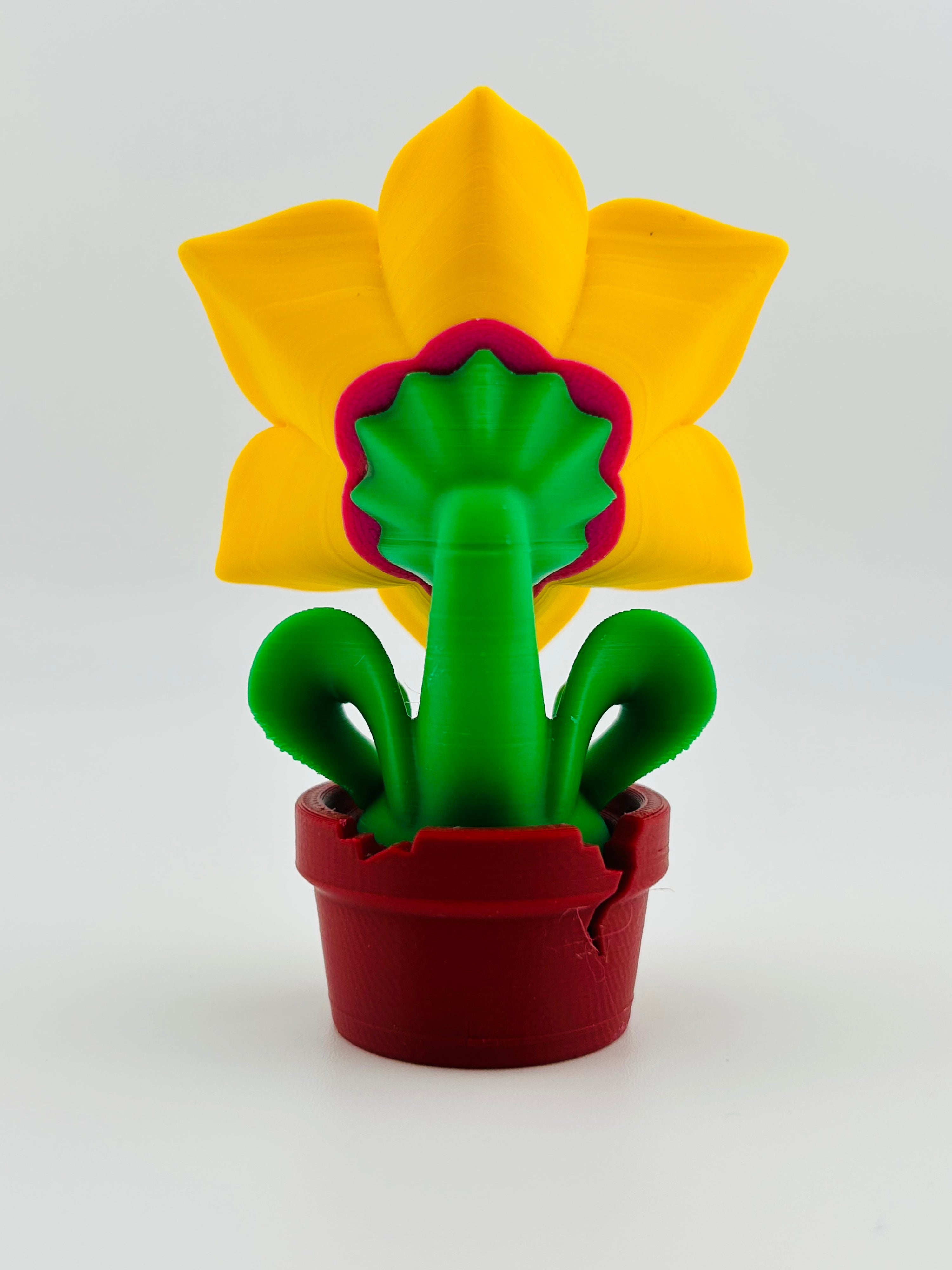 Yellow Lily