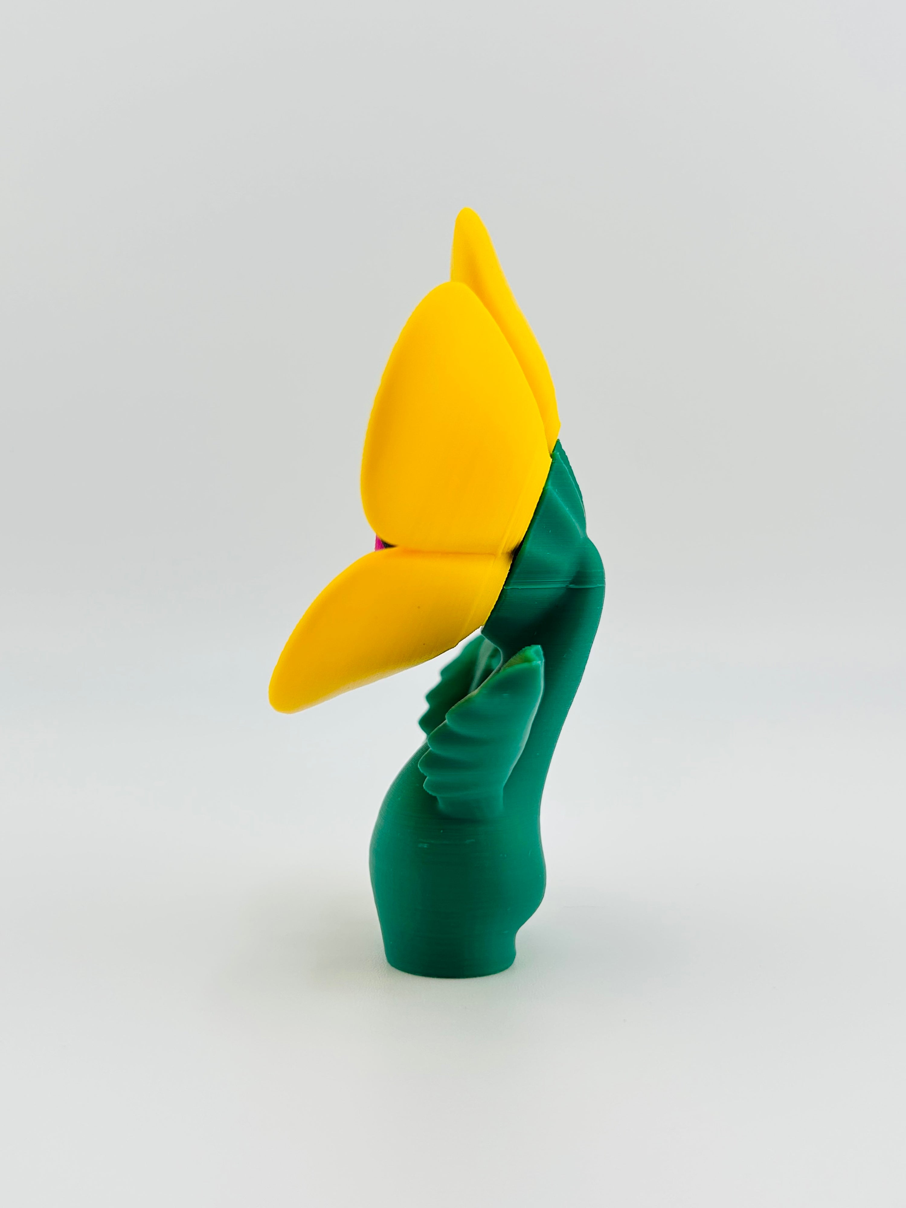 Yellow Flower