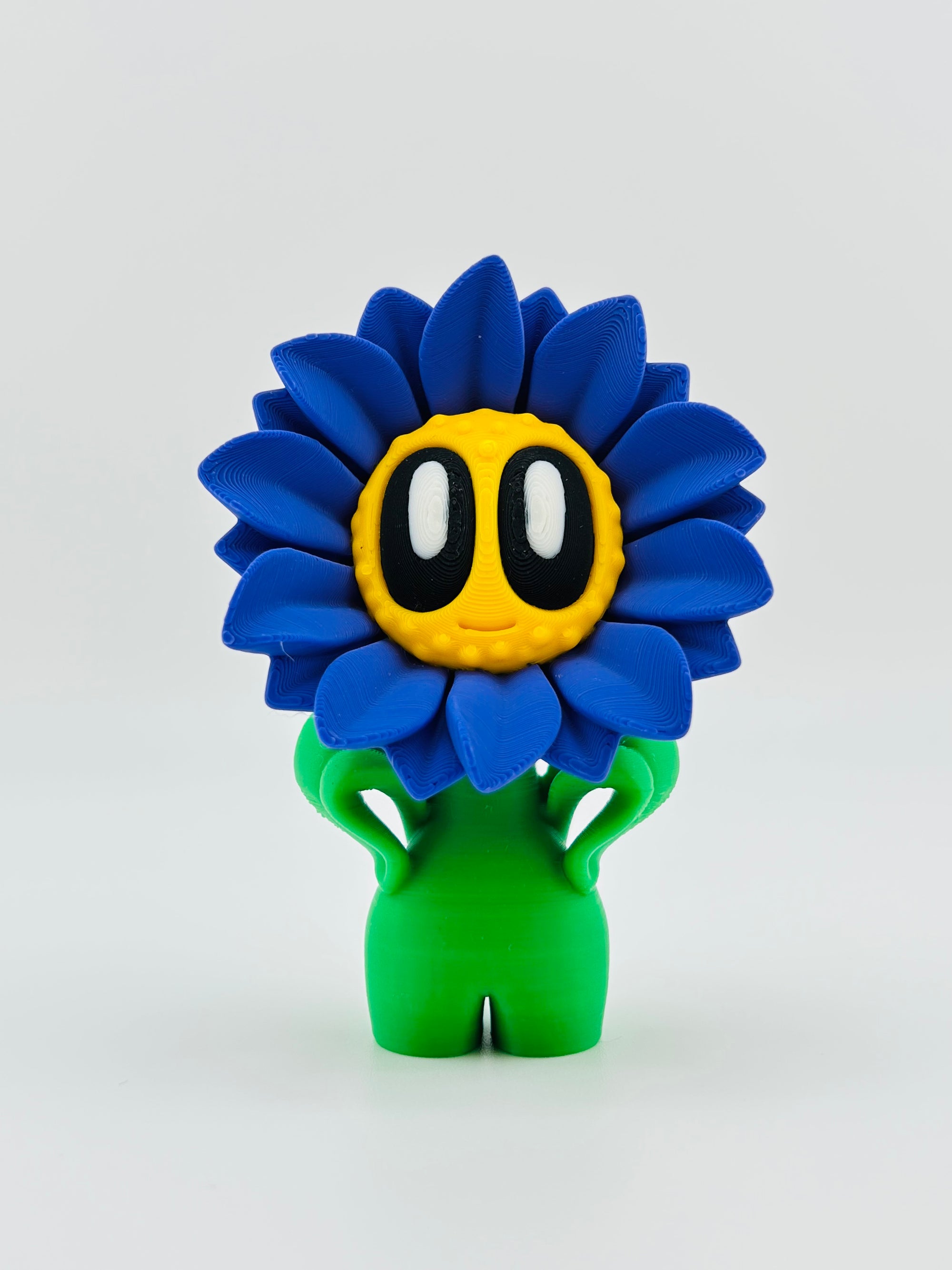 Purple Sunflower