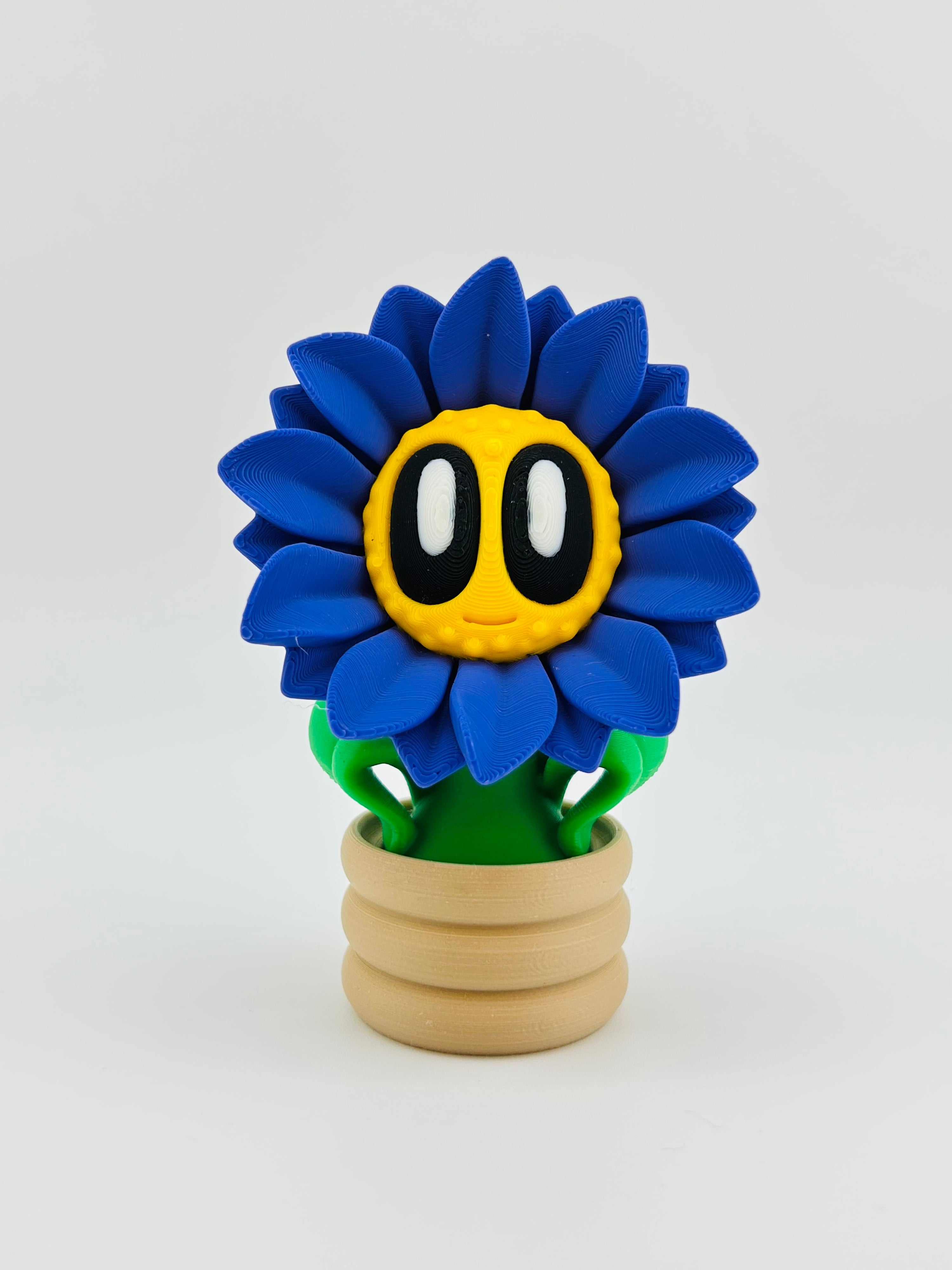 Purple Sunflower