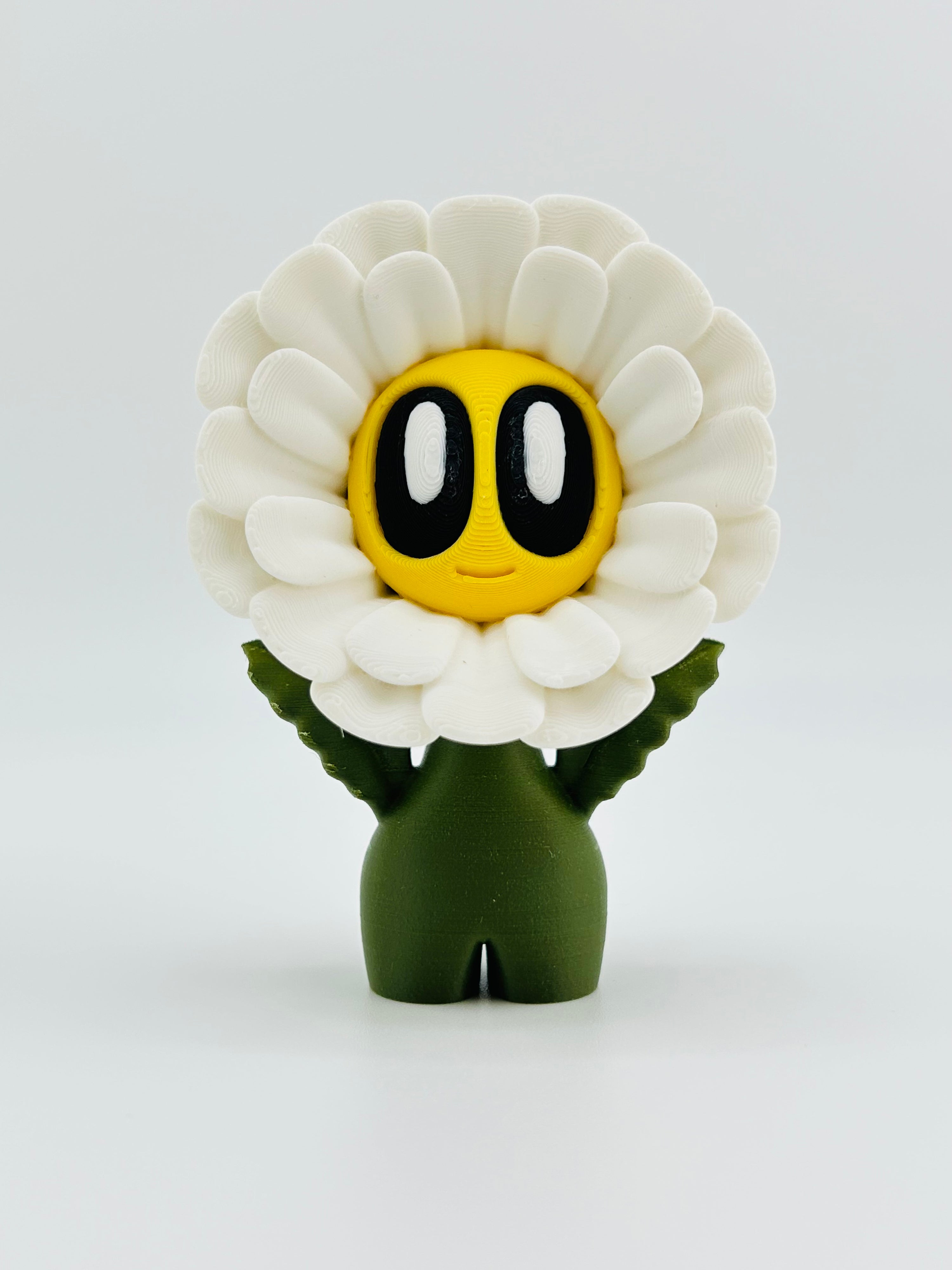 White Daisy