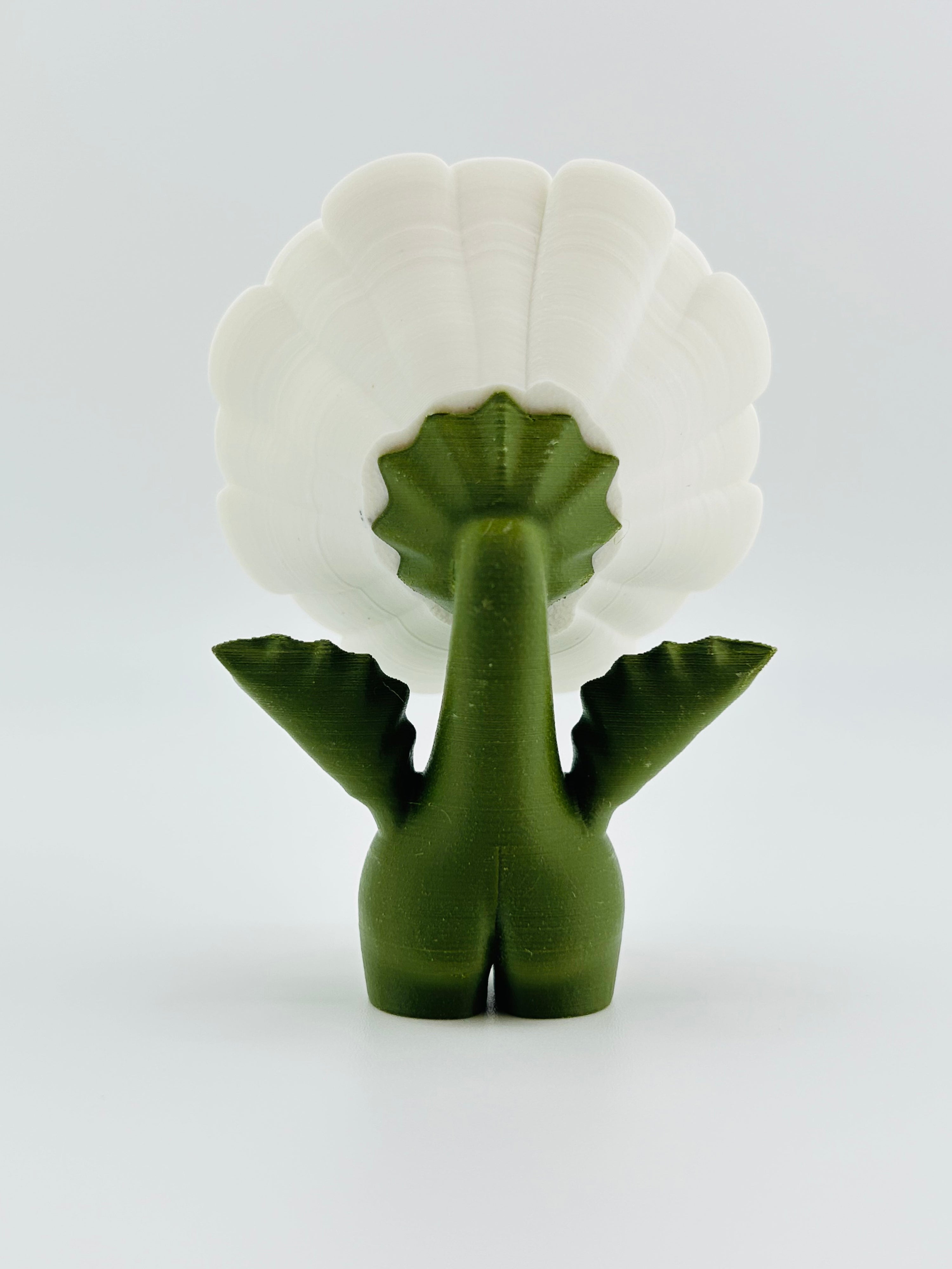 White Daisy