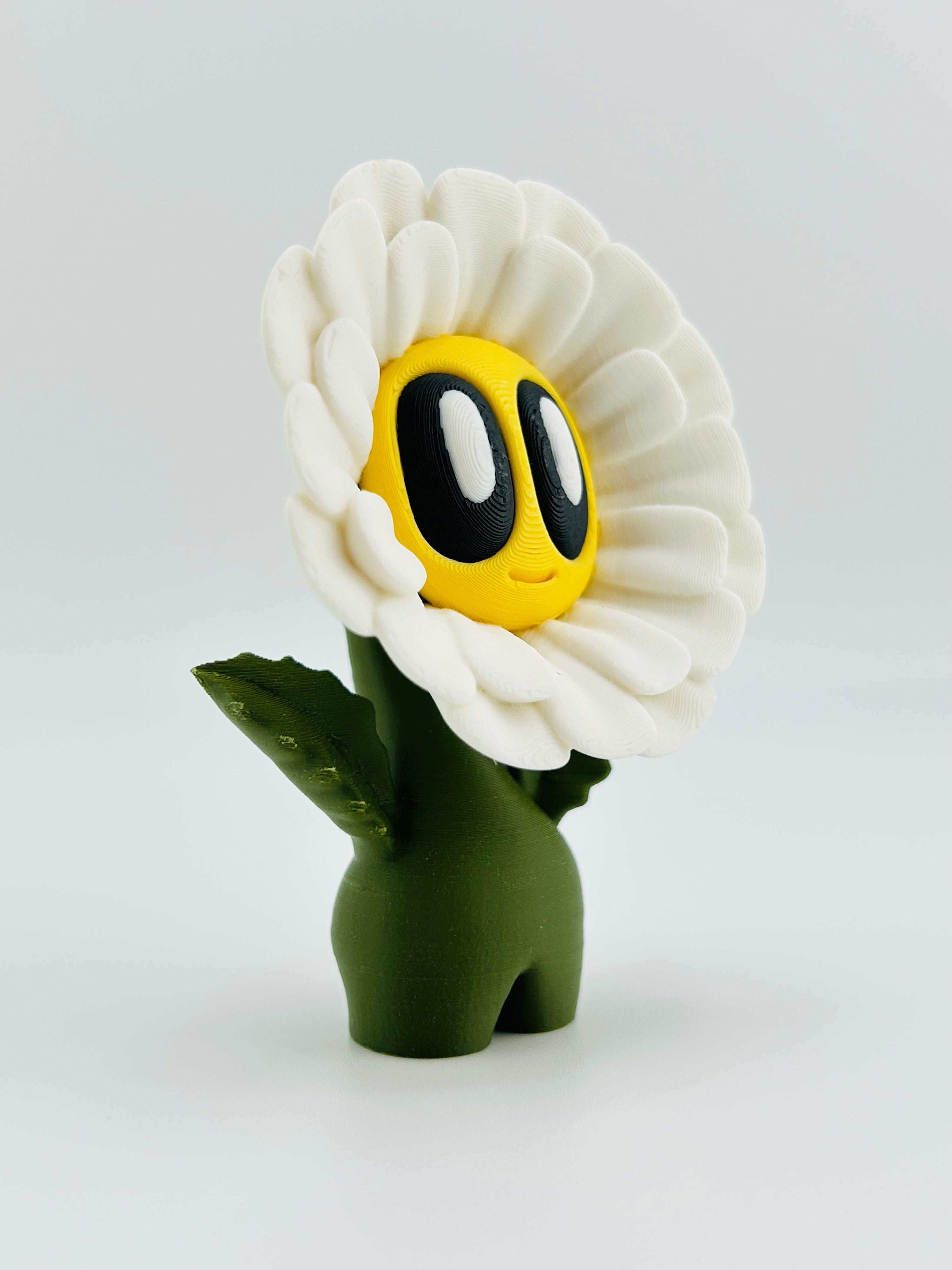 White Daisy