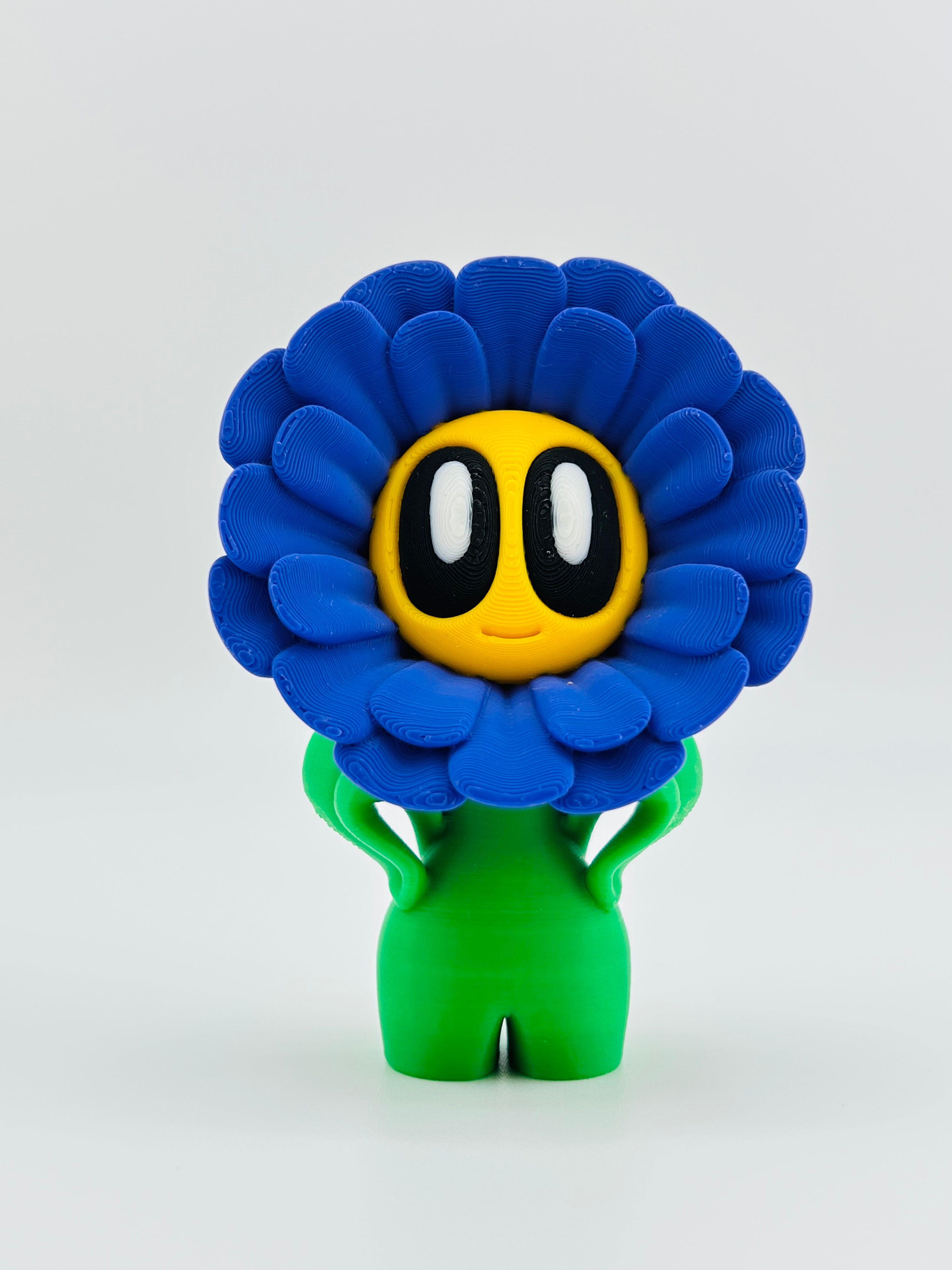 Purple Daisy