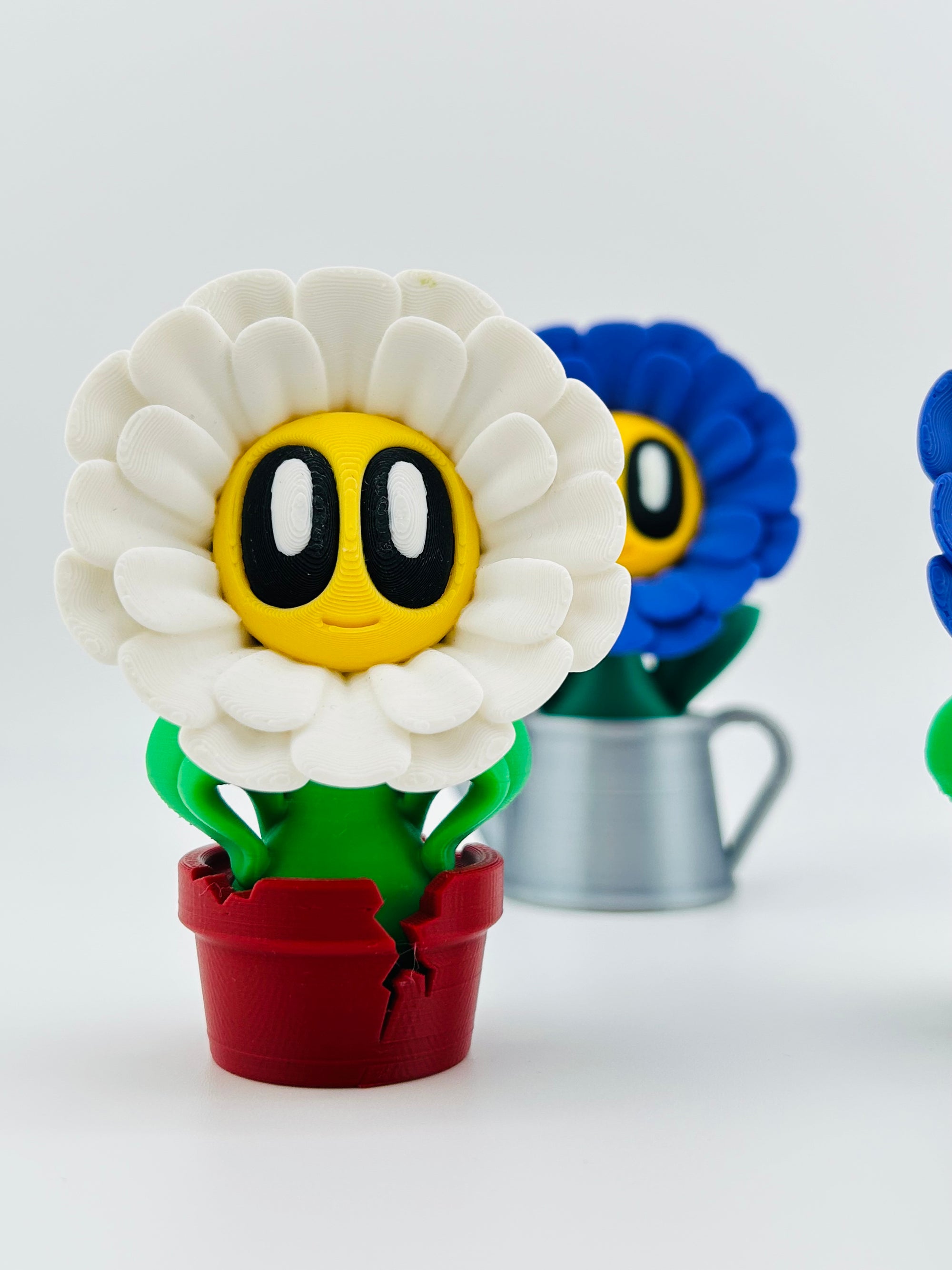 White Daisy