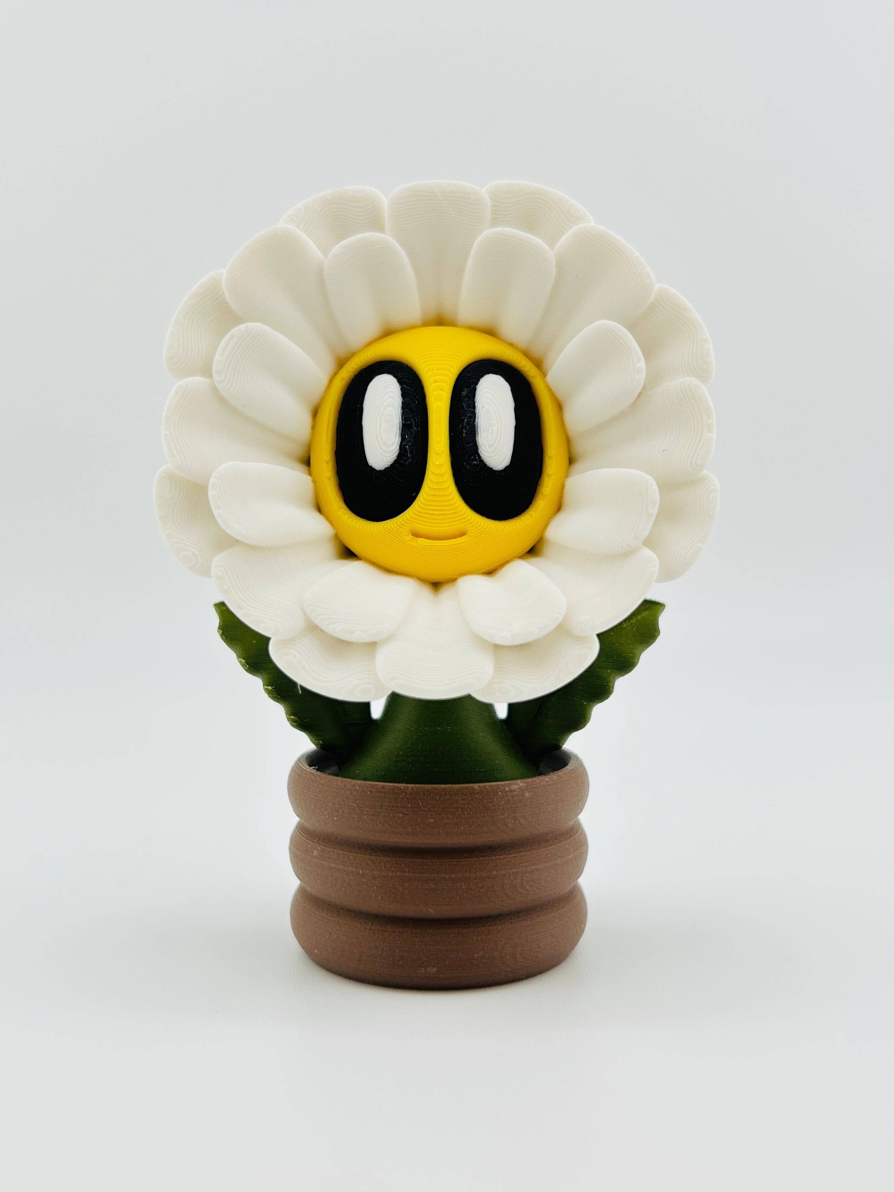 White Daisy