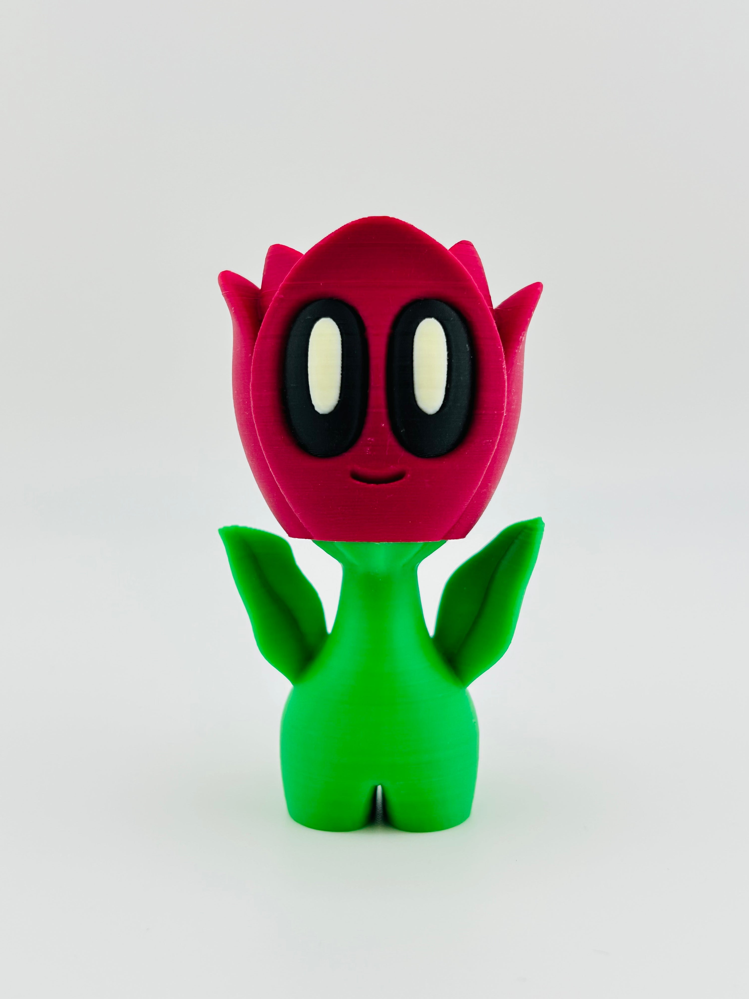Pink Tulip