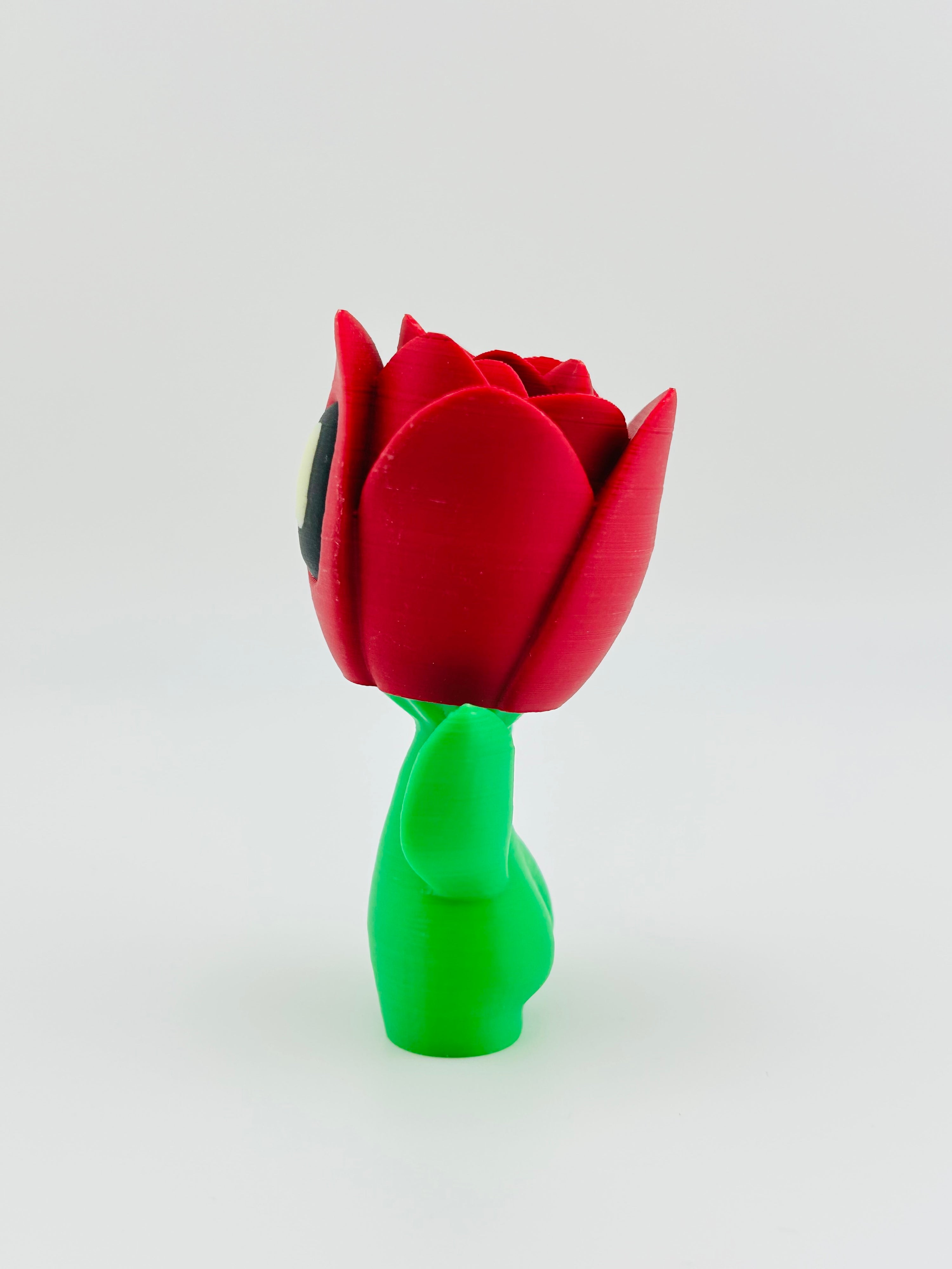 Pink Tulip