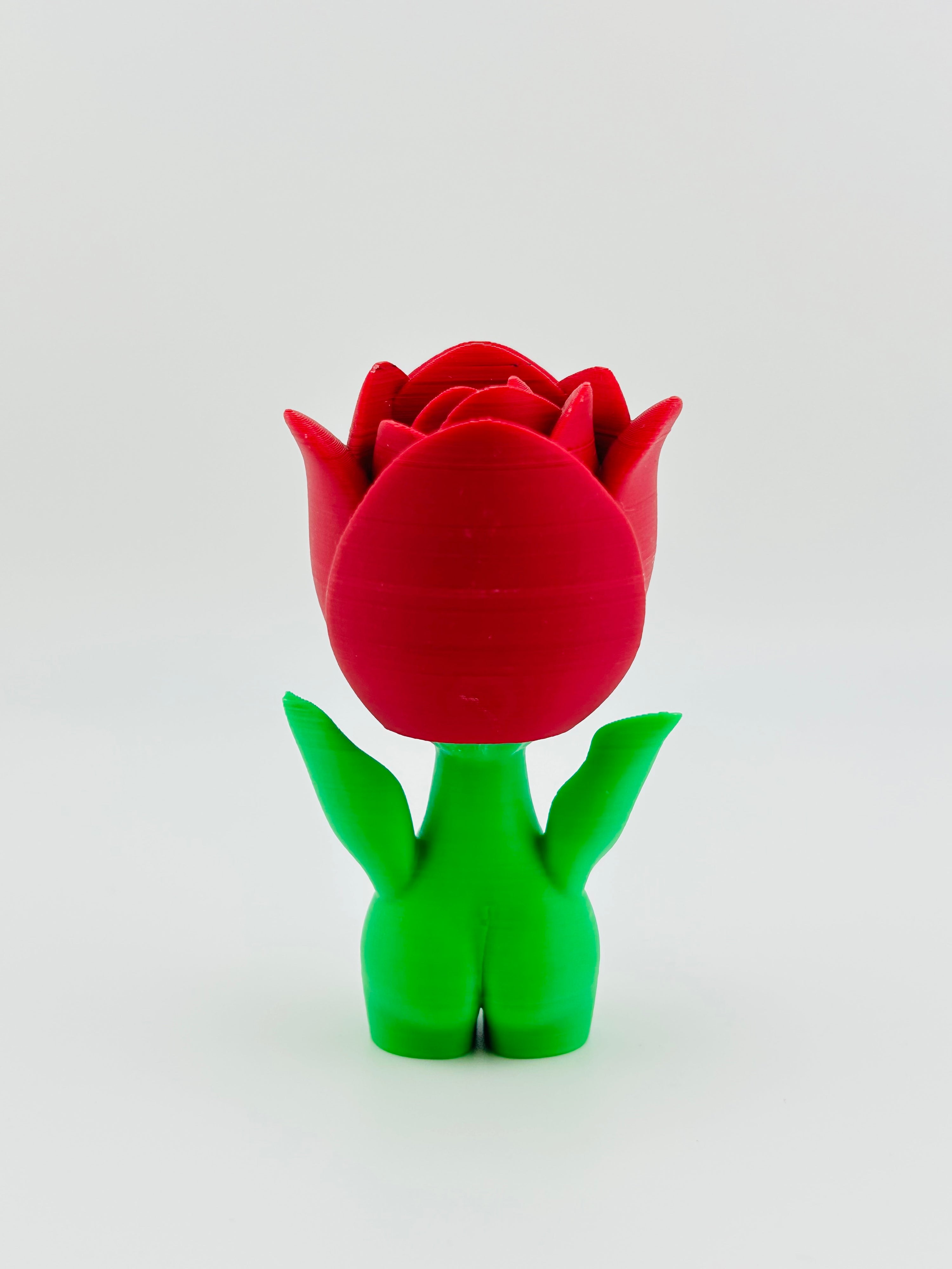 Pink Tulip
