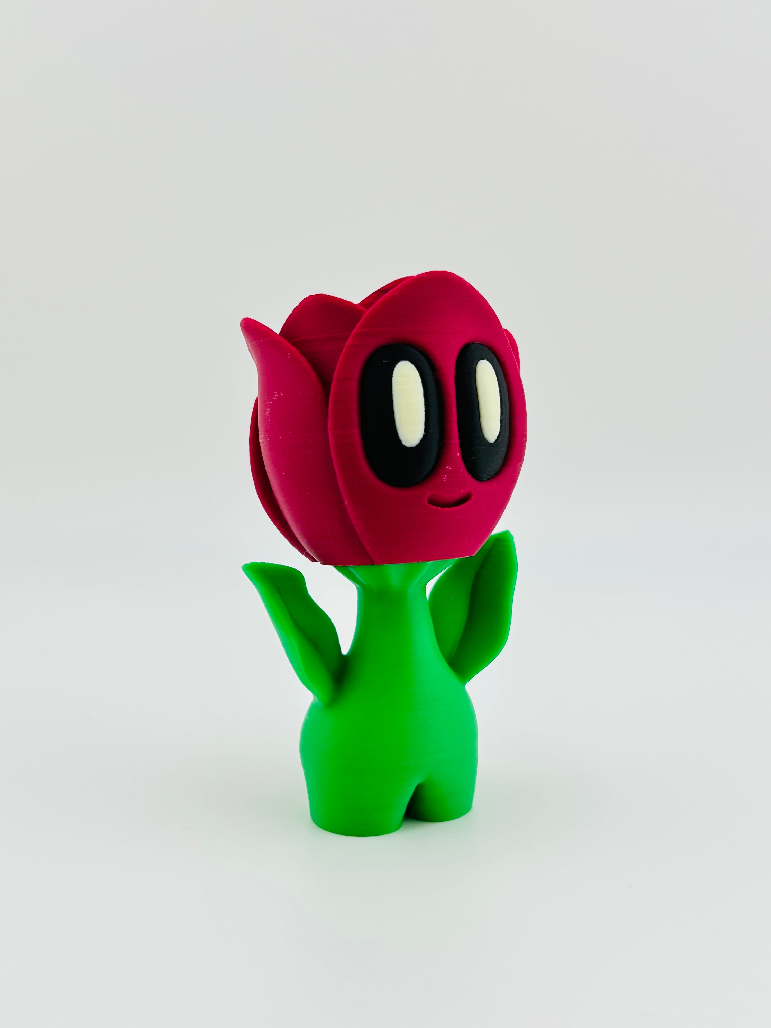 Pink Tulip