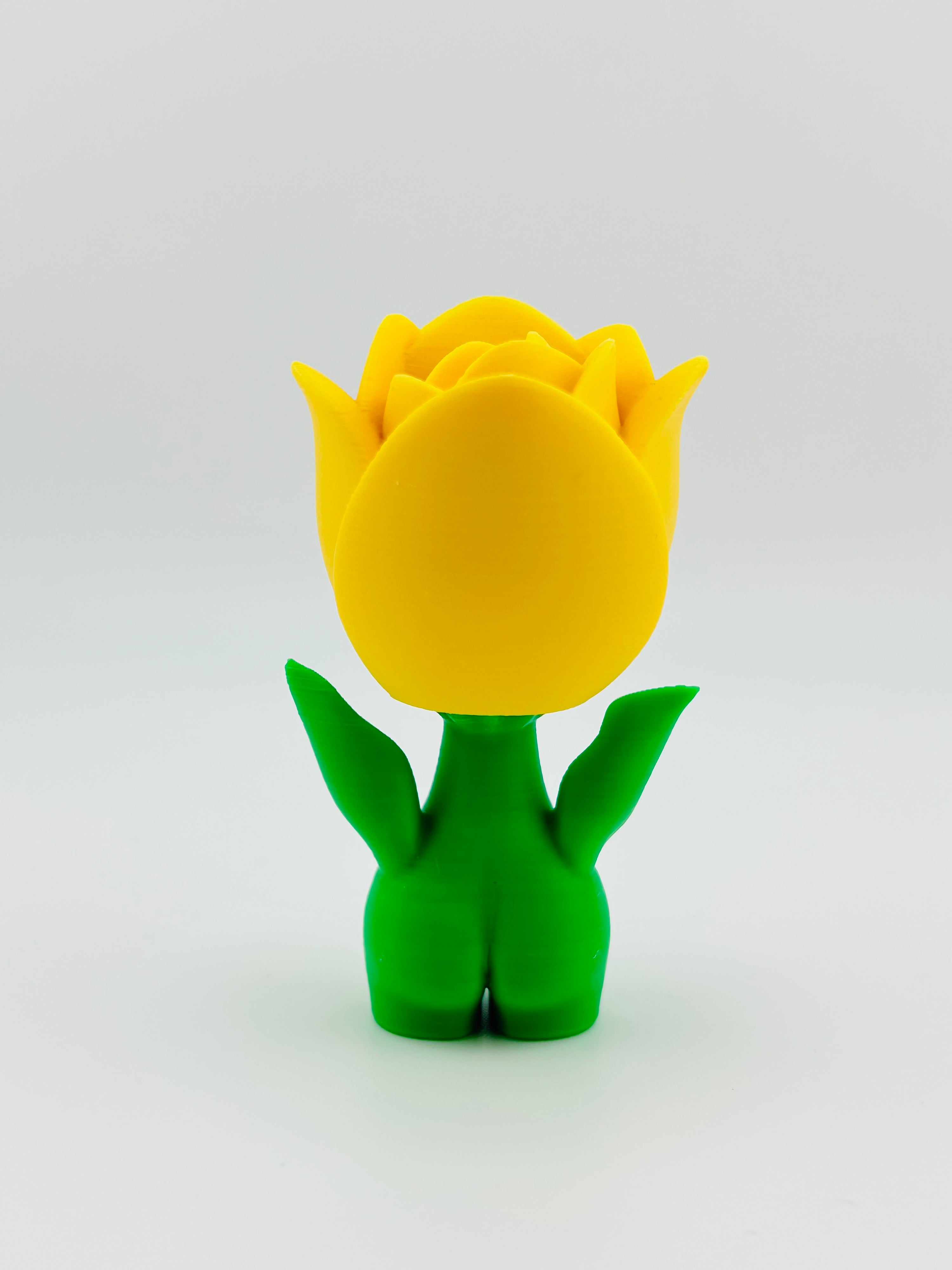 Yellow Tulip