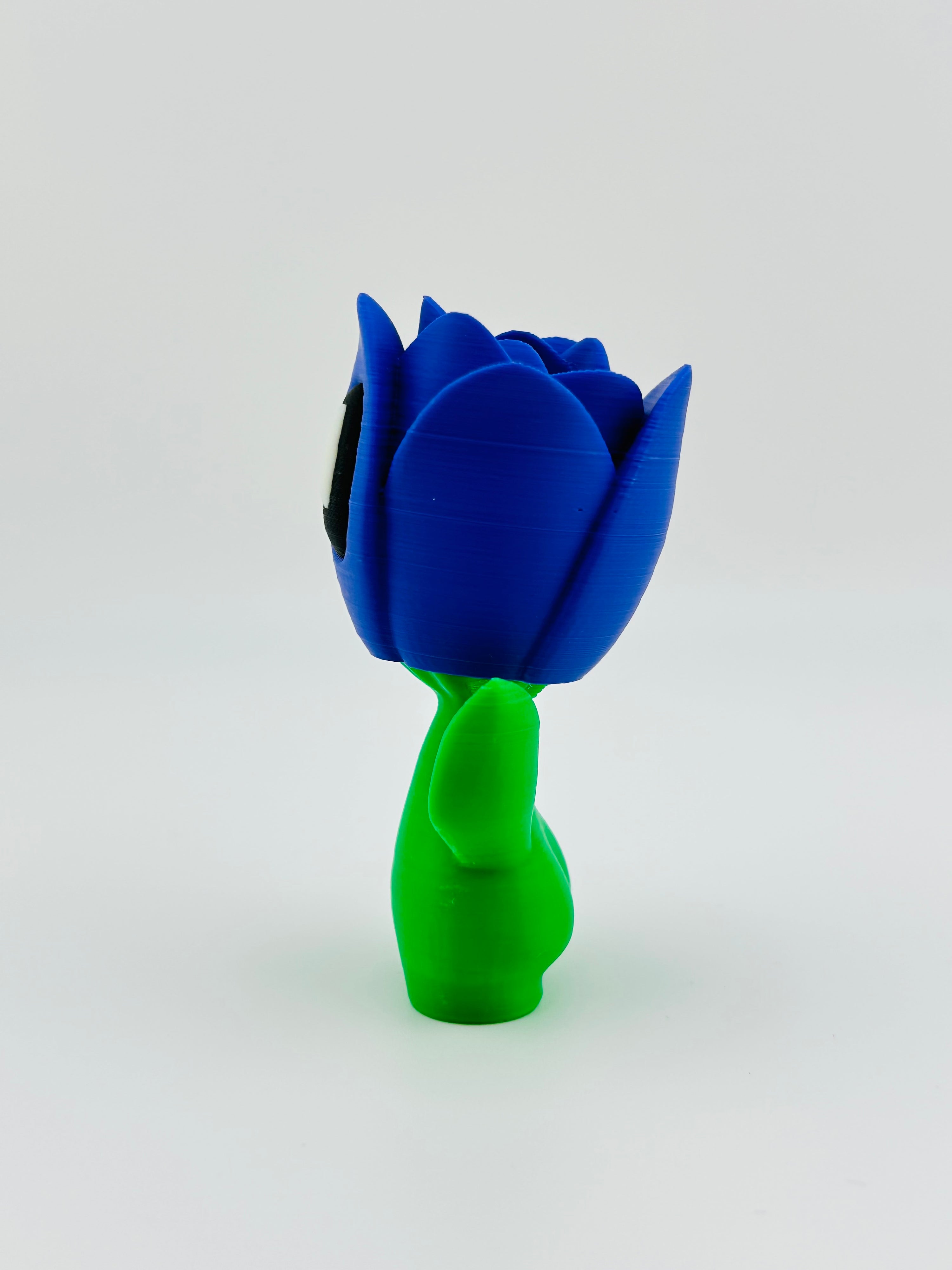 Purple Tulip