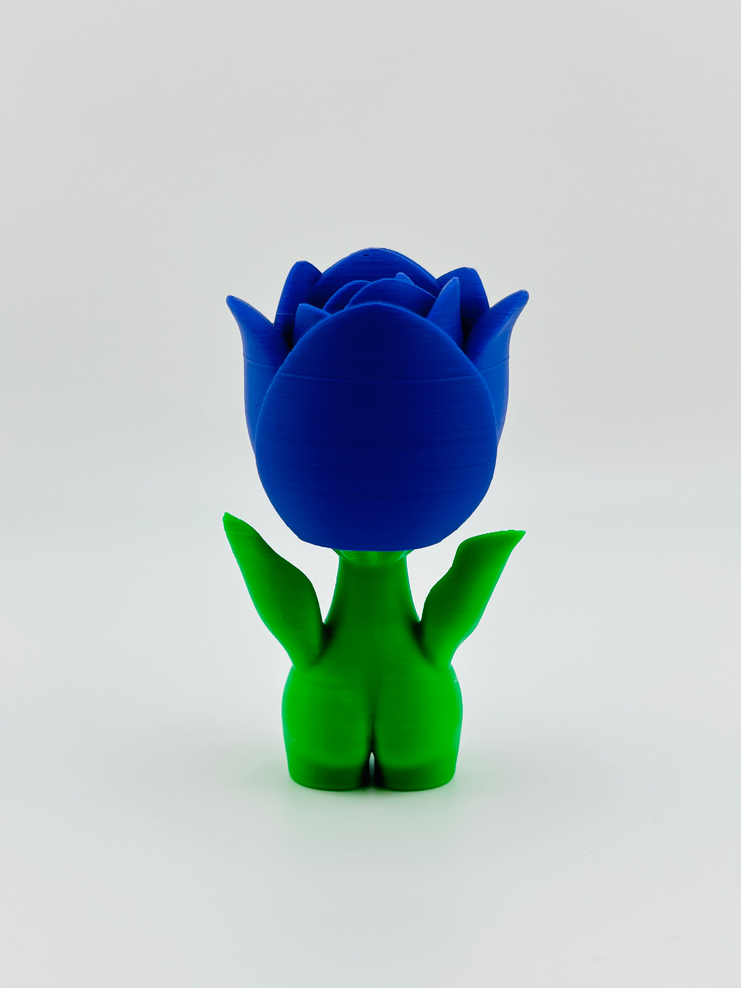 Purple Tulip