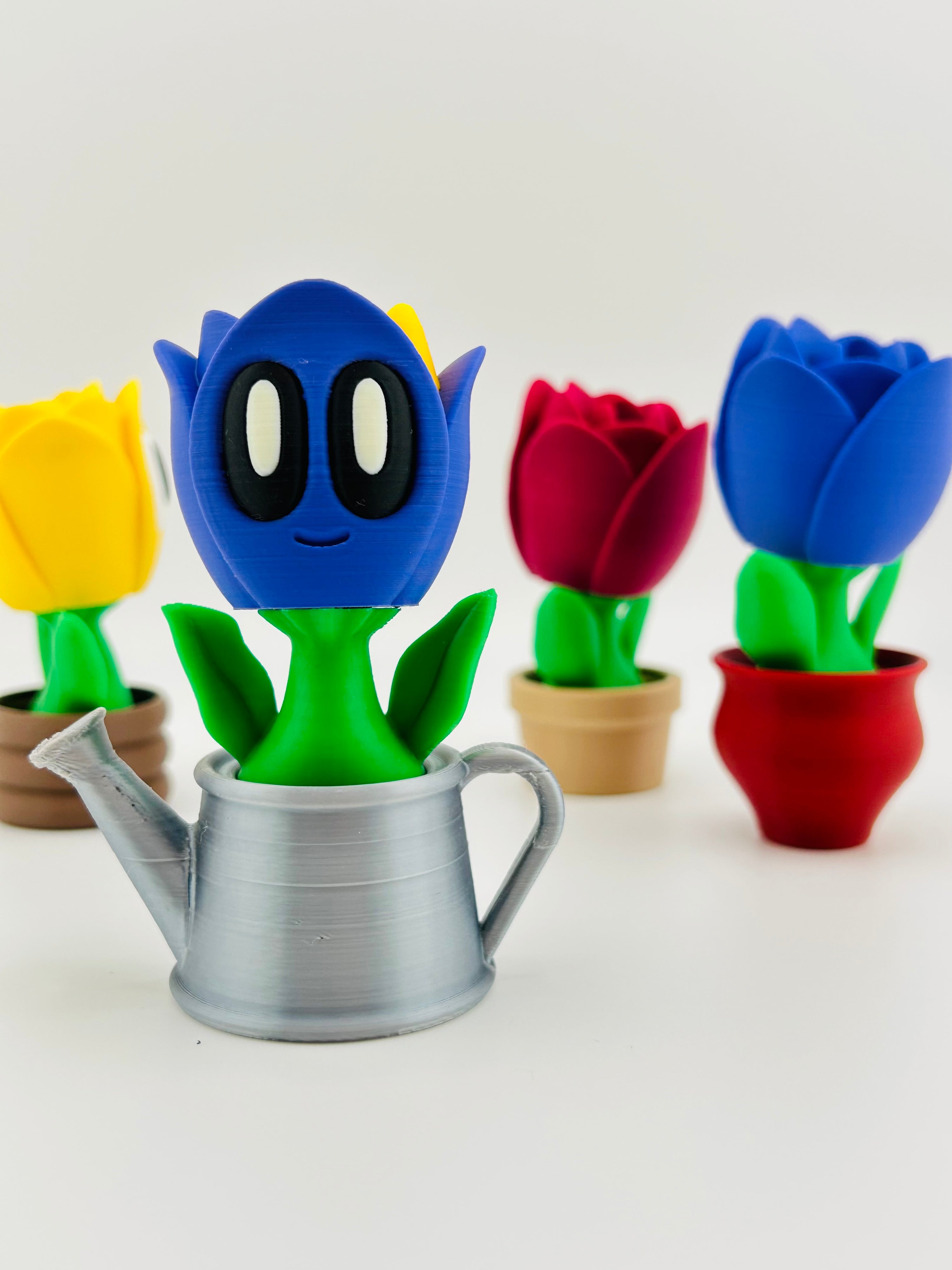 Purple Tulip